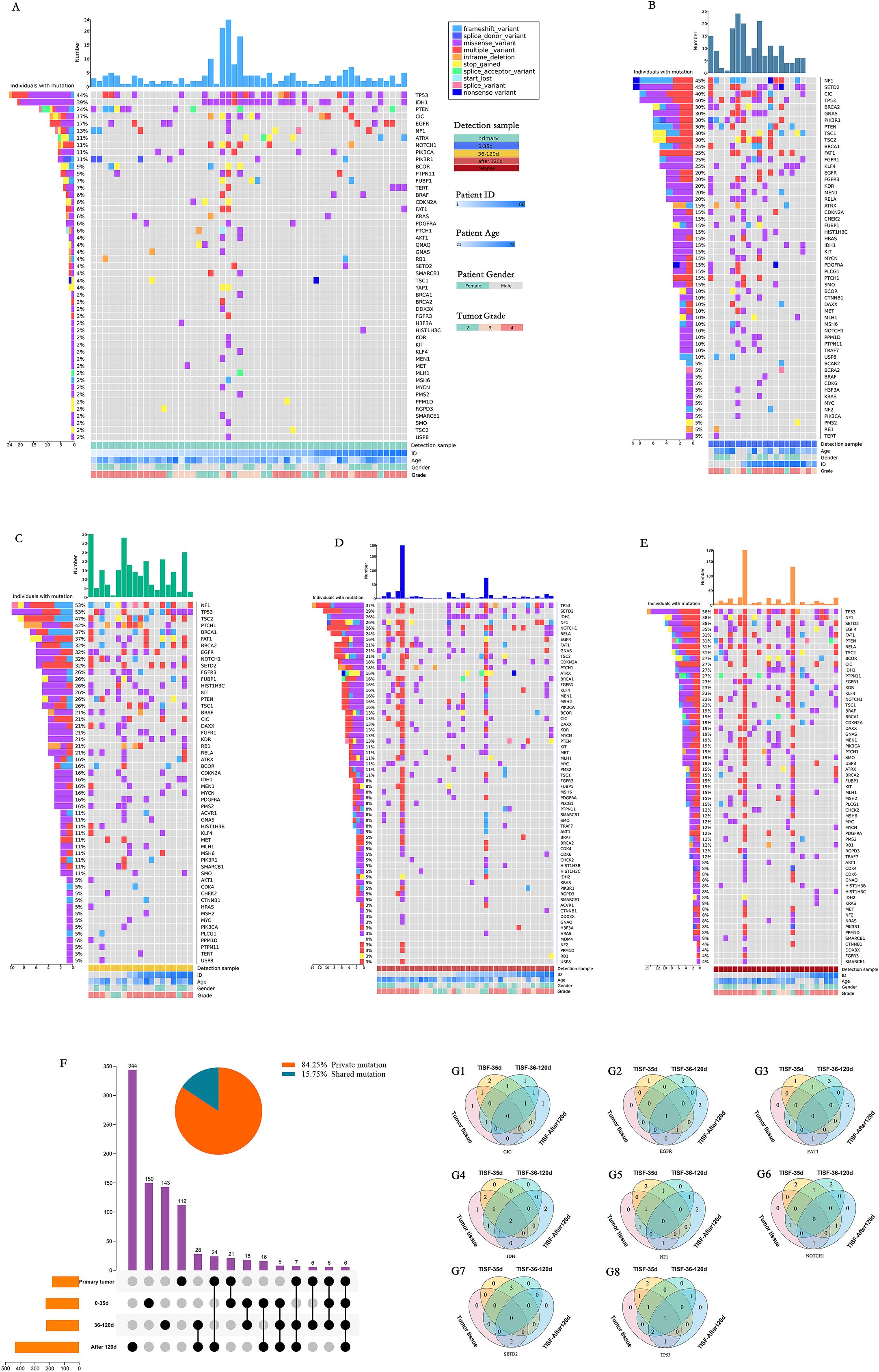 Genomic data visualizations in multiple panels show mutation distributions. Panels A to E present variant types across different genes, categorized by detection samples, patient ID, age, gender, and tumor grade, each using distinct color codes. Panel F includes a pie chart showing private and shared mutations, bar graphs, and an upset plot illustrating gene mutations over different time points. Venn diagrams G1 to G8 display overlapping mutations for specific markers.