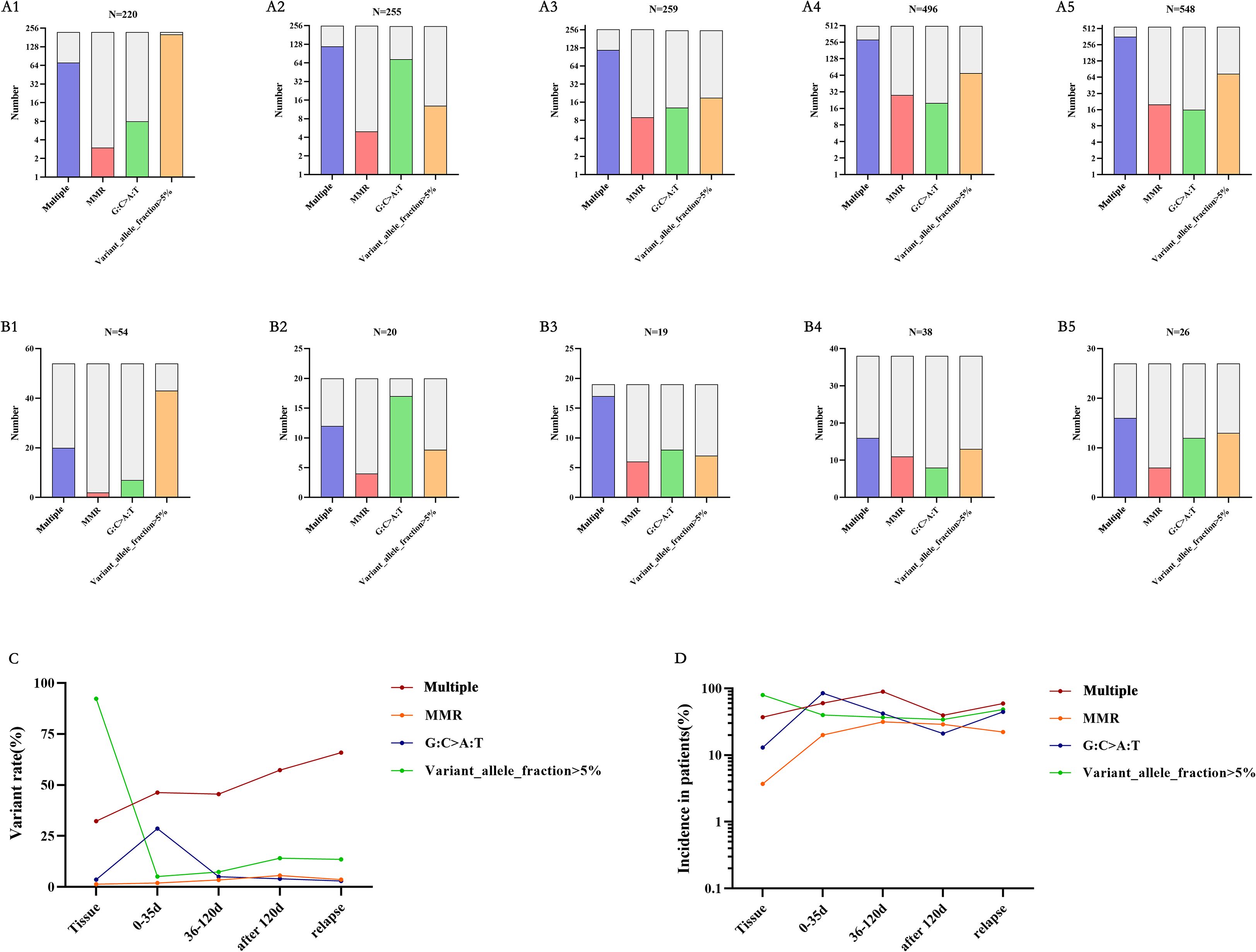 Four sets of bar charts (A1-A5, B1-B5) show variant numbers categorized by Multiple, MMR, G:C>A:T, and Variant_allele_fraction>5%. Two line graphs (C, D) depict variant rates and incidence in patients over time, featuring the same categories. Chart C details variant rates (%) at specific time intervals, while Chart D shows incidence (%) across tissue and relapse phases.