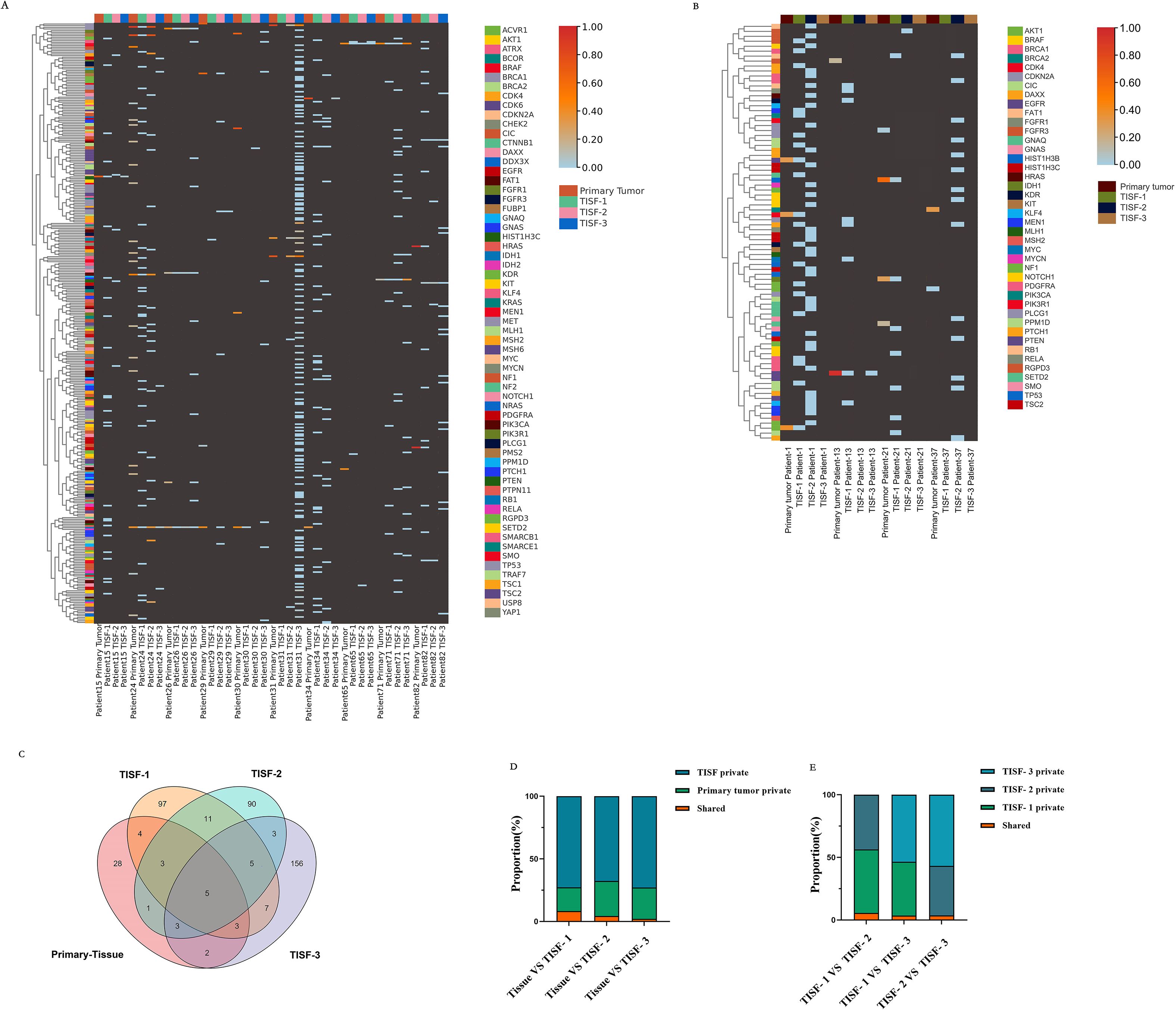Four-panel figure showing genomic and tissue analysis. Panel A is a heatmap depicting gene expression with a color gradient from blue to red, labeled by gene names and sample types. Panel B is a heatmap focused on specific gene clusters, similarly color-coded. Panel C is a Venn diagram showing overlaps between Primary Tissue, TISF-1, TISF-2, and TISF-3 categories. Panel D and E are bar charts illustrating proportions of shared versus private genomic attributes among different TISF categories.