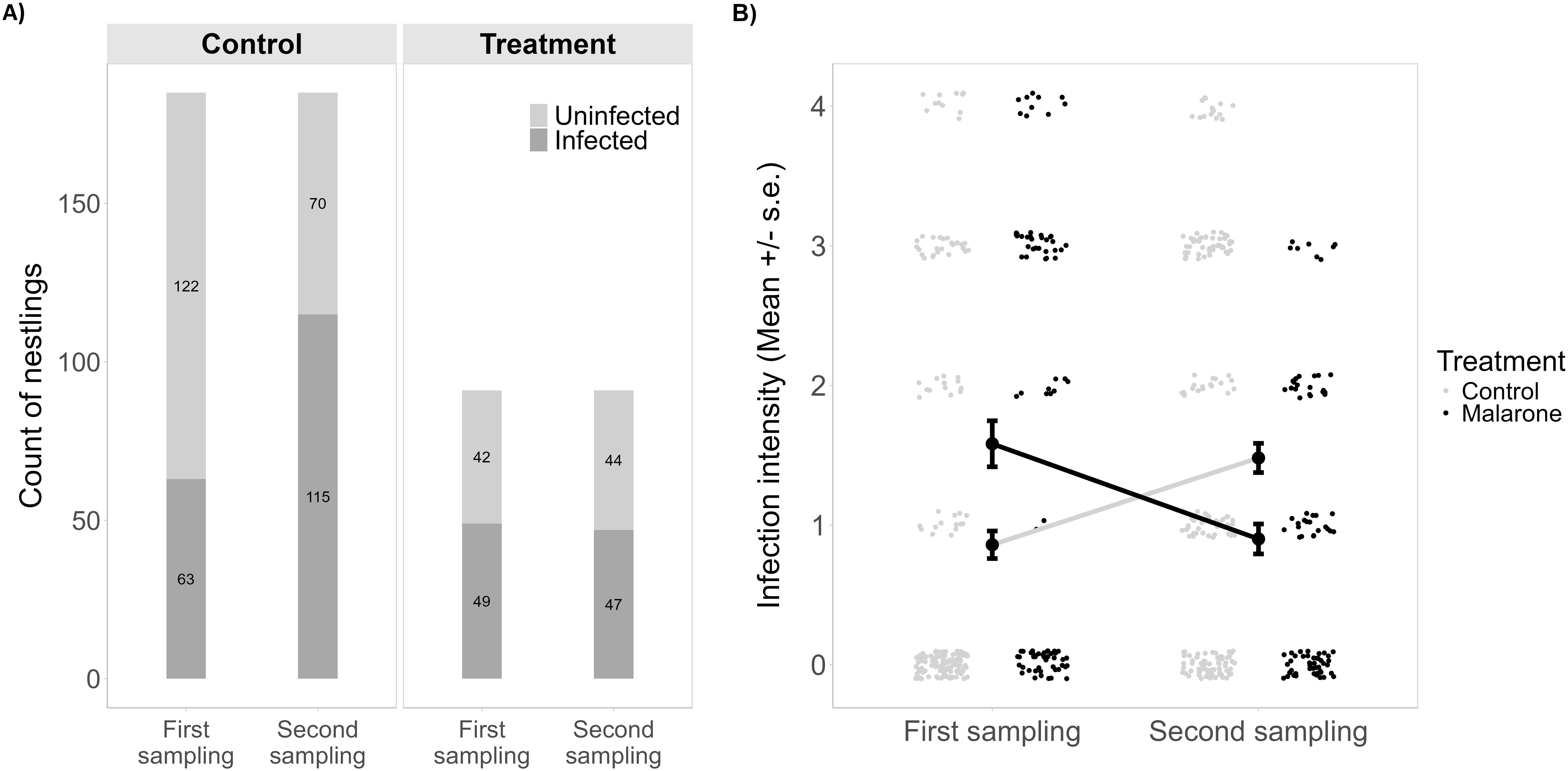 (A) Displays the count of nestlings in the Control and Treatment groups across two sampling periods. The Control group shows larger counts, with 122 and 115 nestlings for the first and second samplings, respectively, while the Treatment group has 42 and 44 nestlings. Each bar is segmented into uninfected and infected categories, highlighting infection status. (B) Illustrates infection intensity (mean ± s.e.) across the sampling periods, showing a decrease in the Treatment group (labeled as Malarone), whereas the Control group's intensity remains consistent. Data points are distinct for each group, indicating variability in infection levels.(A) Displays the count of nestlings in the Control and Treatment groups across two sampling periods. The Control group shows larger counts, with 122 and 115 nestlings for the first and second samplings, respectively, while the Treatment group has 42 and 44 nestlings. Each bar is segmented into uninfected and infected categories, highlighting infection status. (B) Illustrates infection intensity (mean ± s.e.) across the sampling periods, showing a decrease in the Treatment group (labeled as Malarone), whereas the Control group's intensity remains consistent. Data points are distinct for each group, indicating variability in infection levels.