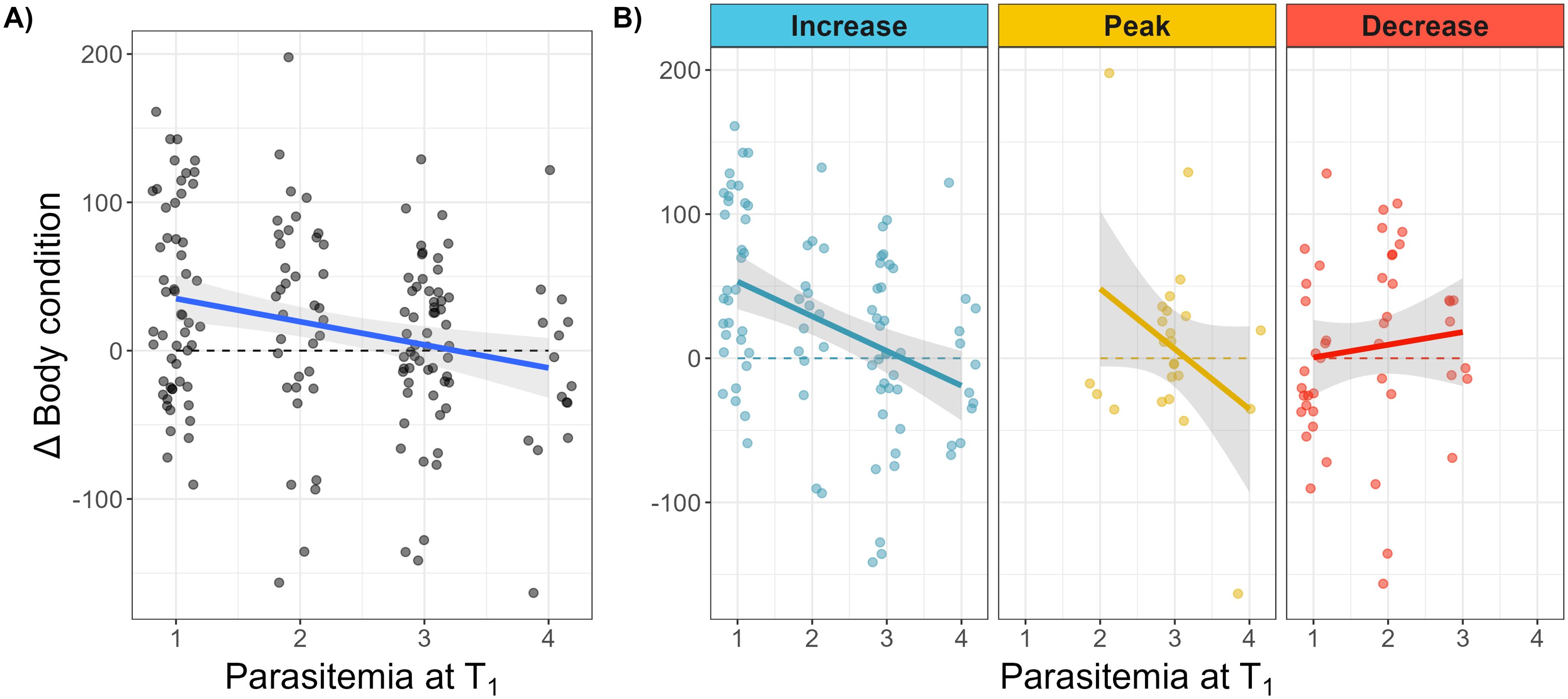 (A) Displays a scatter plot showing the relationship between parasitemia at T1 and change in body condition (Δ Body condition), with a negative trend indicated by a blue regression line. (B) Contains three panels labeled “Increase,” “Peak,” and “Decrease,” each representing subsets of data; the “Increase” panel shows a similar negative trend with a blue line, the “Peak” panel has a steeper negative slope indicated by a yellow line, and the “Decrease” panel shows a slight upward trend highlighted by a red line. Shaded areas around each line represent uncertainty in the estimates.(A) Displays a scatter plot showing the relationship between parasitemia at T1 and change in body condition (Δ Body condition), with a negative trend indicated by a blue regression line. (B) Contains three panels labeled “Increase,” “Peak,” and “Decrease,” each representing subsets of data; the “Increase” panel shows a similar negative trend with a blue line, the “Peak” panel has a steeper negative slope indicated by a yellow line, and the “Decrease” panel shows a slight upward trend highlighted by a red line. Shaded areas around each line represent uncertainty in the estimates.