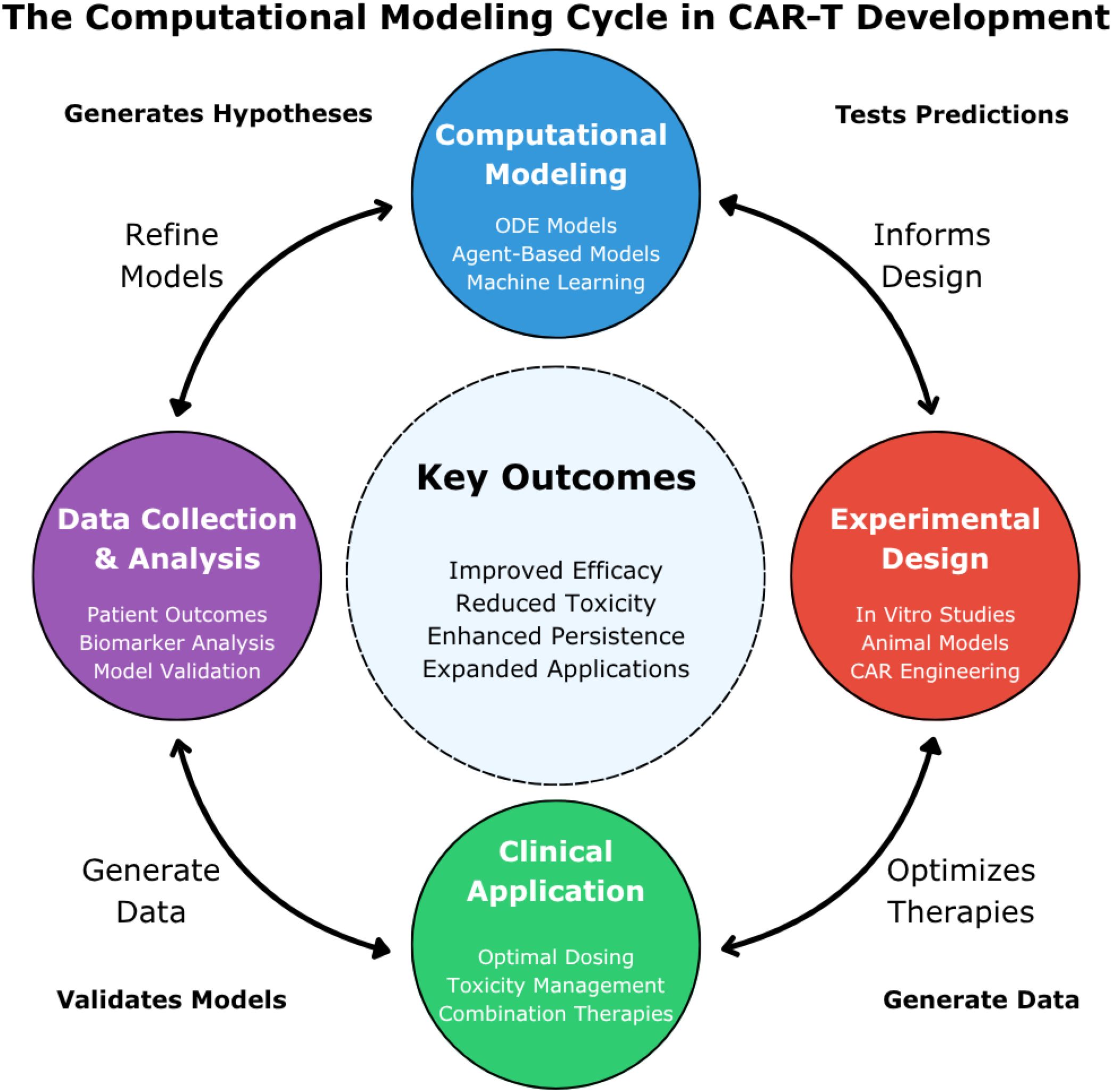 Diagram illustrating the computational modeling cycle in CAR-T development. It includes four main stages: Computational Modeling (blue), Experimental Design (red), Clinical Application (green), and Data Collection & Analysis (purple). Arrows indicate the process flow: modeling generates hypotheses for design, which informs trial design, generating data for clinical application, which validates models, refining them. Key outcomes include improved efficacy, reduced toxicity, enhanced persistence, and expanded applications. Each stage lists related tasks: modeling involves ODE models and machine learning; design includes in vitro studies; application covers dosing and therapies; data analysis involves outcomes and validation.