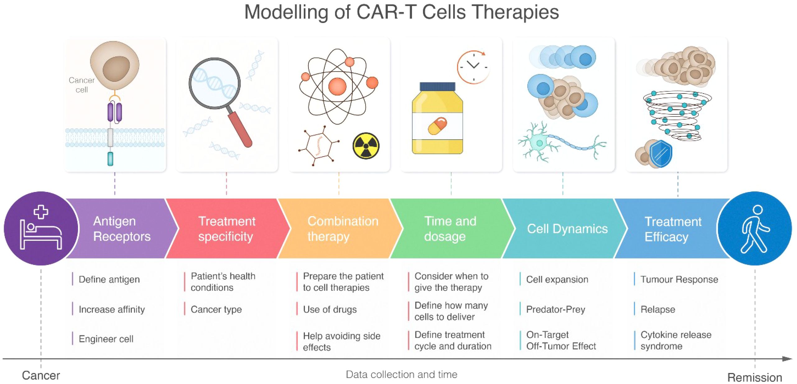Diagram illustrating the modeling of CAR-T cell therapies. It includes six stages: Antigen Receptors, Treatment Specificity, Combination Therapy, Time and Dosage, Cell Dynamics, and Treatment Efficacy. Each stage includes specific factors like defining antigens, patient conditions, drug use, cell delivery, cell expansion, and tumor response. The progression moves from cancer to remission, represented by icons and colored sections.