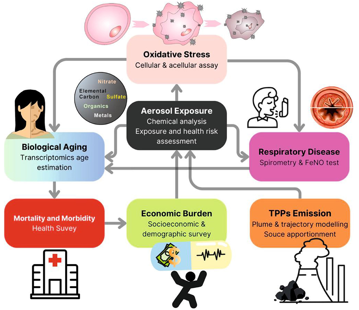 Flowchart depicting the impact of aerosol exposure. Central box labeled “Aerosol Exposure” links to five surrounding boxes: “Oxidative Stress,” “Respiratory Disease,” “Biological Aging,” “TPPs Emission,” and “Economic Burden.” Each box includes related assessments or tests, e.g., “Spirometry & FeNO test” for respiratory diseases. “Mortality and Morbidity” ties into healthcare and economic sections, emphasizing the chain of health risks, biological aging estimation, emissions modeling, and socioeconomic impact. Various icons represent concepts like health surveys and factory emissions.