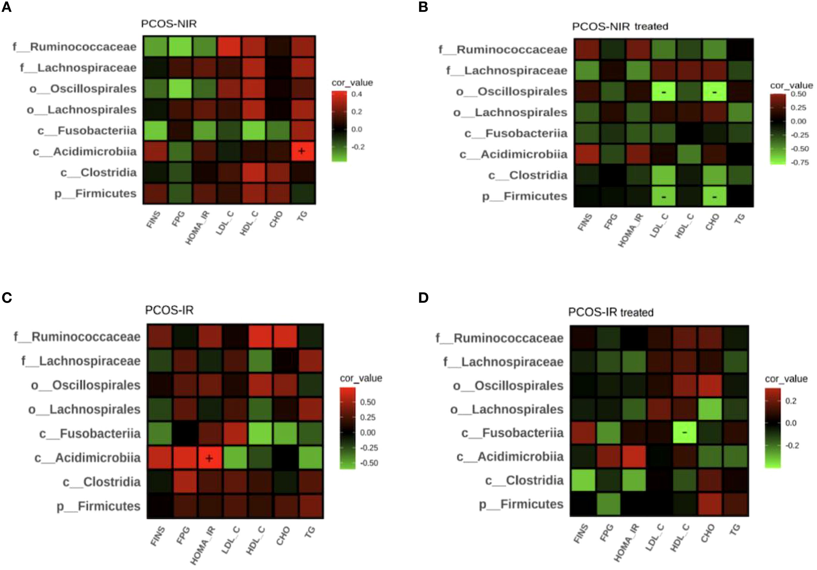 Four heat maps labeled A, B, C, and D show correlations between microbial taxa and metabolic parameters in PCOS patients. Each heat map uses a color gradient from red to green, representing positive to negative correlation values, respectively. Maps A and C represent untreated PCOS-NIR and PCOS-IR groups, while B and D show treated groups. Parameters on the x-axis include FINS, FPG, HOMA-IR, LDL-C, HDL-C, CHO, and TG. Taxa on the y-axis include Ruminococcaceae, Lachnospiraceae, Oscillospirales, Lachnospirales, Fusobacteriia, Acidimicrobiia, Clostridia, and Firmicutes.