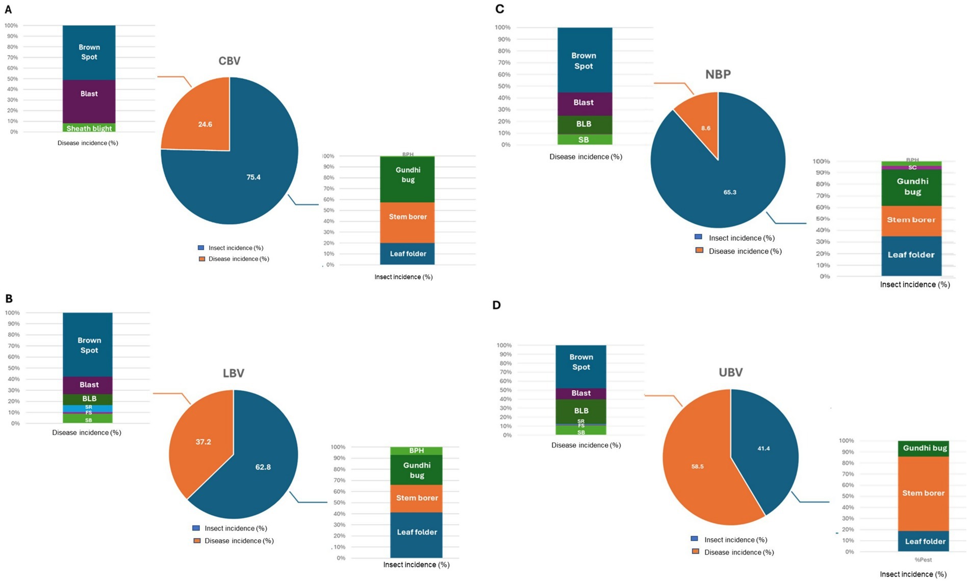 Two sets of charts (A and B) illustrate disease and insect incidence percentages. Chart A includes a pie chart showing 75.4% insect and 24.6% disease incidence (CBV). Bar charts depict disease incidences: brown spot, blast, sheath blight; and insect incidences: Gundhi bug, stem borer, leaf folder. Chart B presents a pie chart with 62.8% insect and 37.2% disease incidence (LBV). Bar charts show disease incidences: brown spot, blast, Bacterial Leaf Blight (BLB), Sheath Rot (SR), False Smut (FS), sheath blight; and insect incidences: BPH, Gundhi bug, stem borer, leaf folder. Two pie charts labeled C and D display the incidence percentages of insects and diseases. Chart C, titled NBP, shows 65.3% insect incidence and 8.6% disease incidence. Chart D, titled UBV, shows 41.4% insect incidence and 58.5% disease incidence. Adjacent bar graphs depict specific insect and disease types contributing to these percentages.