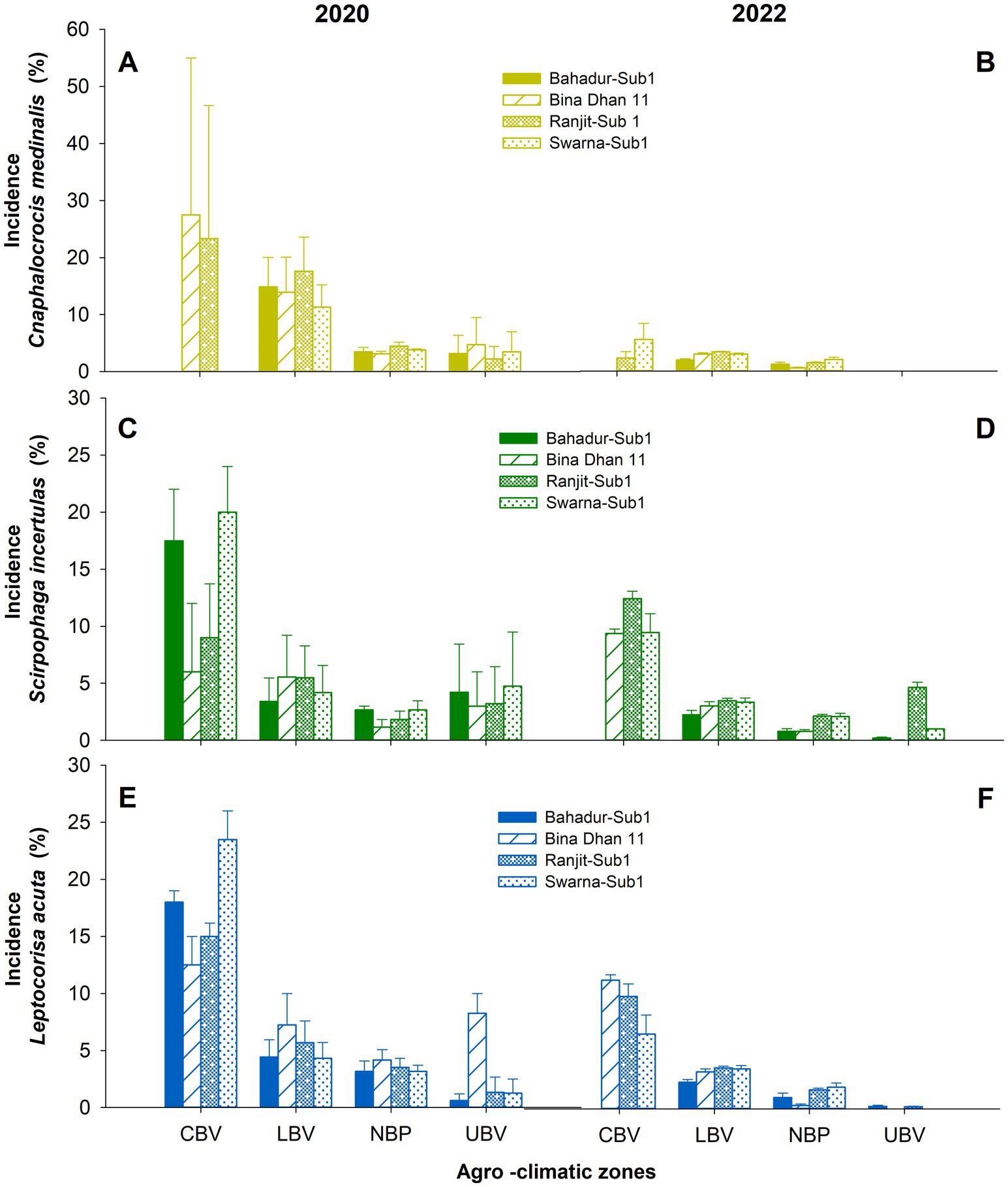 Bar charts show pest incidence in different rice varieties across agro-climatic zones for 2020 and 2022. Panels A and B display Cnaphalocrocis medinalis, C and D show Scirpophaga incertulas, E and F present Leptocorisa acuta. Varieties include Bahadur-Sub1, Bina Dhan 11, Ranjit-Sub1, and Swarna-Sub1, with data differentiated by color and pattern. Zones labeled CBV, LBV, NBP, and UBV.
