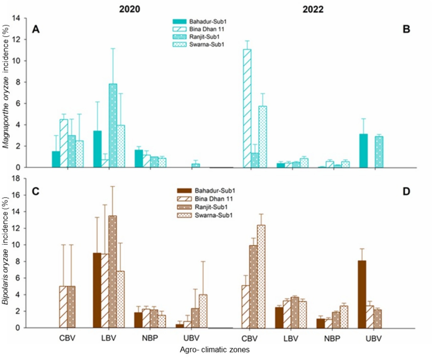 Bar charts showing the incidence of Magnaporthe oryzae and Bipolaris oryzae in different rice varieties across agro-climatic zones in 2020 and 2022. Panels A and B display data for Magnaporthe oryzae, while C and D represent Bipolaris oryzae. Rice varieties include Bahadur-Sub1, Bina Dhan 11, Ranjit-Sub1, and Swarna-Sub1. Agro-climatic zones are CBV, LBV, NBP, and UBV. The charts show variation in incidence percentages over the two years.