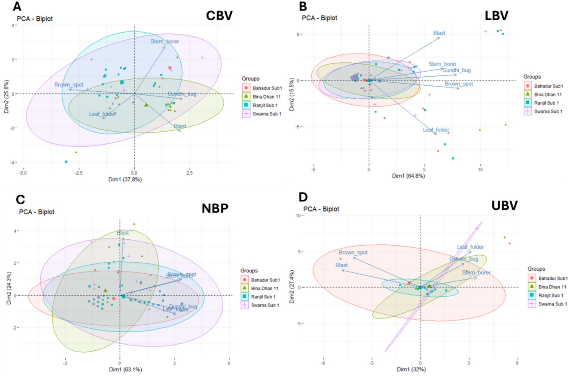 Four PCA biplots labeled A to D depict pest and disease impacts on different rice groups. Graphs A and D show overlap in group distributions, while B and C have more distinct separation. Points represent groups: Bahadur Sub1, Bina Dhan 11, Ranjit Sub1, Swarna Sub1. Arrows indicate variables like stem borer, blast, and brown spot. Variances are detailed on axes, with dimensions labeled Dim1 and Dim2. Color-coded ellipses enclose points representing group clusters.
