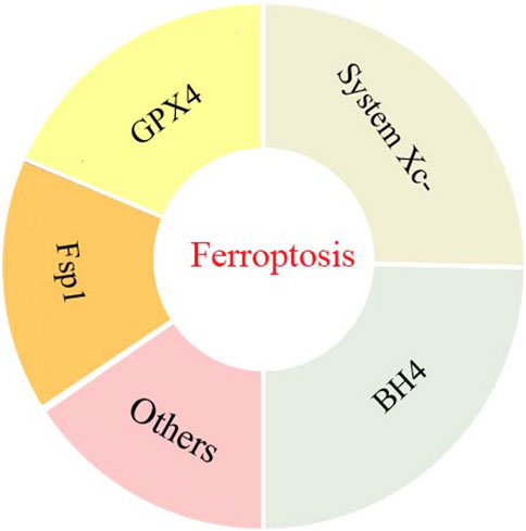 www.frontiersin.org