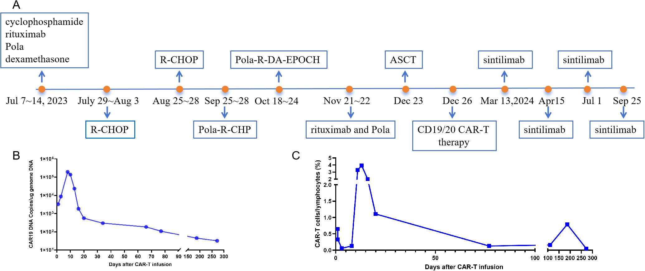 Image A presents a timeline of treatments from July 2023 to September 2024, including therapies such as R-CHOP, Pola-R-CHP, and CAR-T. Image B is a line graph showing a decrease in CAR19 DNA copies over 300 days post-CAR-T infusion. Image C is a line graph displaying CAR-T cells as a percentage of lymphocytes over time, demonstrating an initial spike and subsequent decrease.