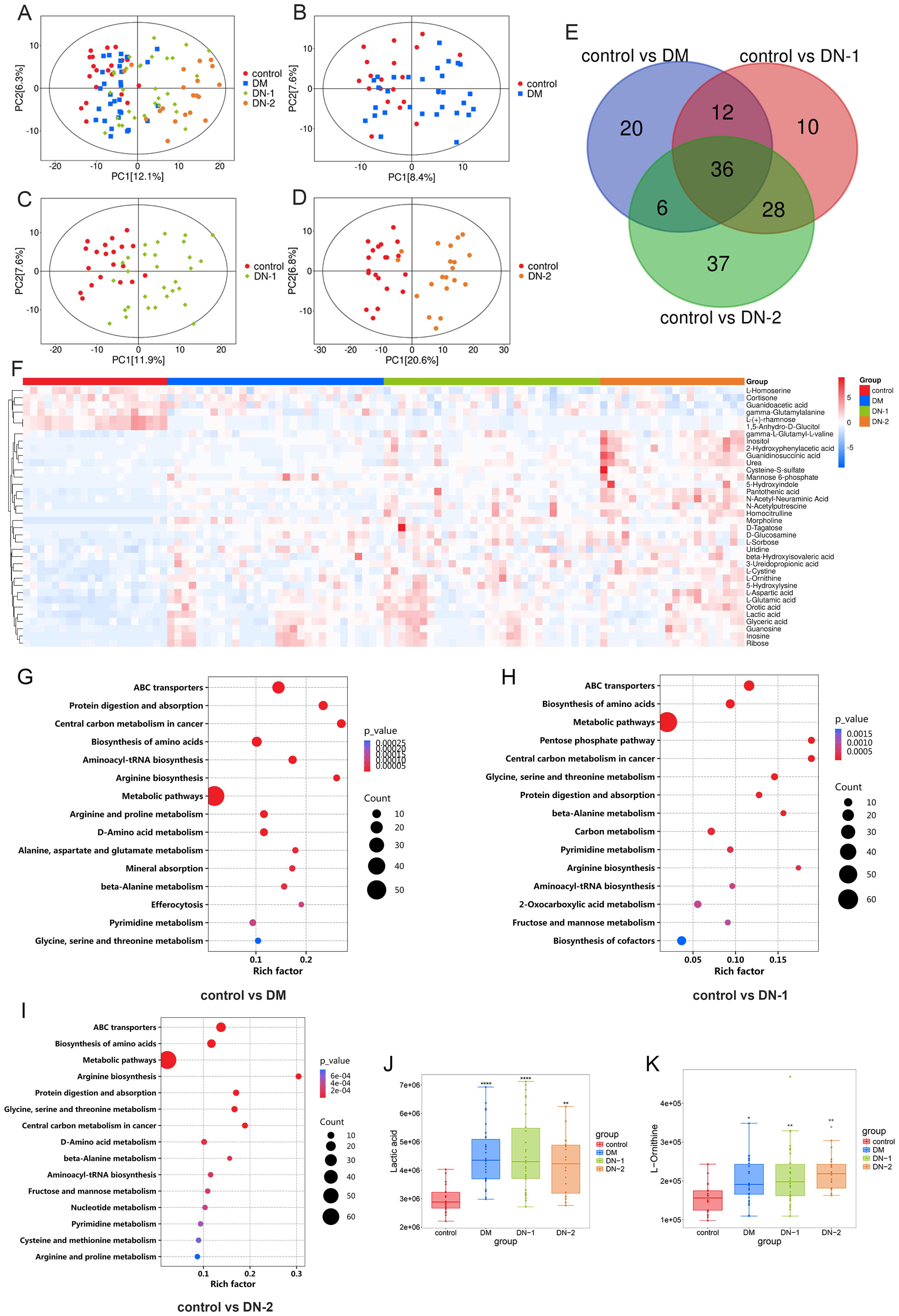 Multiple images are presented in a grid: A-D: Four scatter plots labeled A-D, showing principal component analysis (PCA) comparing control, DM, DN-1, and DN-2 groups. Data points are color-coded by group. E: Venn diagram showing the overlap in differential expression of metabolites among the groups, with numbers indicating shared and unique metabolites. F: Heatmap displaying metabolite expression levels across groups, with a legend indicating high to low expression. G-I: Bubble plots depicting pathway enrichment analysis for control vs DM, DN-1, and DN-2 comparisons, with bubble size and color indicating p-value and count. J-K: Box plots for specific metabolites across groups, labeled with significance asterisks. These images illustrate the metabolomic differences and pathway enrichments among the study groups.
