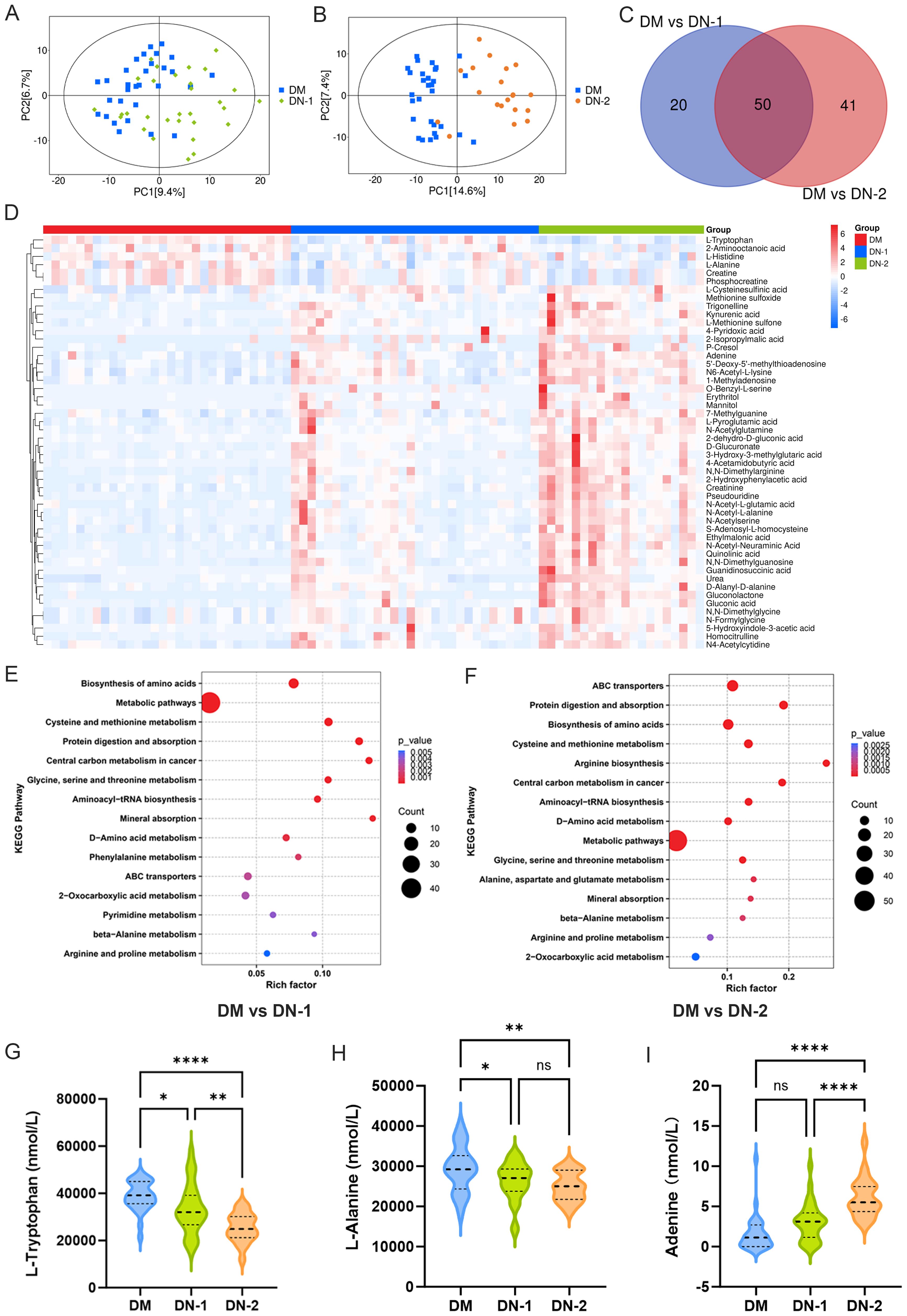 Scatter plots A and B illustrate PCA analyses of DM versus DN-1 and DN-2 groups, showing separation. Venn diagram C compares the number of unique and shared features between groups. Heatmap D displays metabolite abundance across samples, color-coded by group (red to blue). Dot plots E and F depict KEGG pathway enrichment with p-values and count sizes. Violin plots G-H-I show concentrations of L-Tryptophan, L-Alanine, and Adenine across groups, with significance indicated by asterisks.