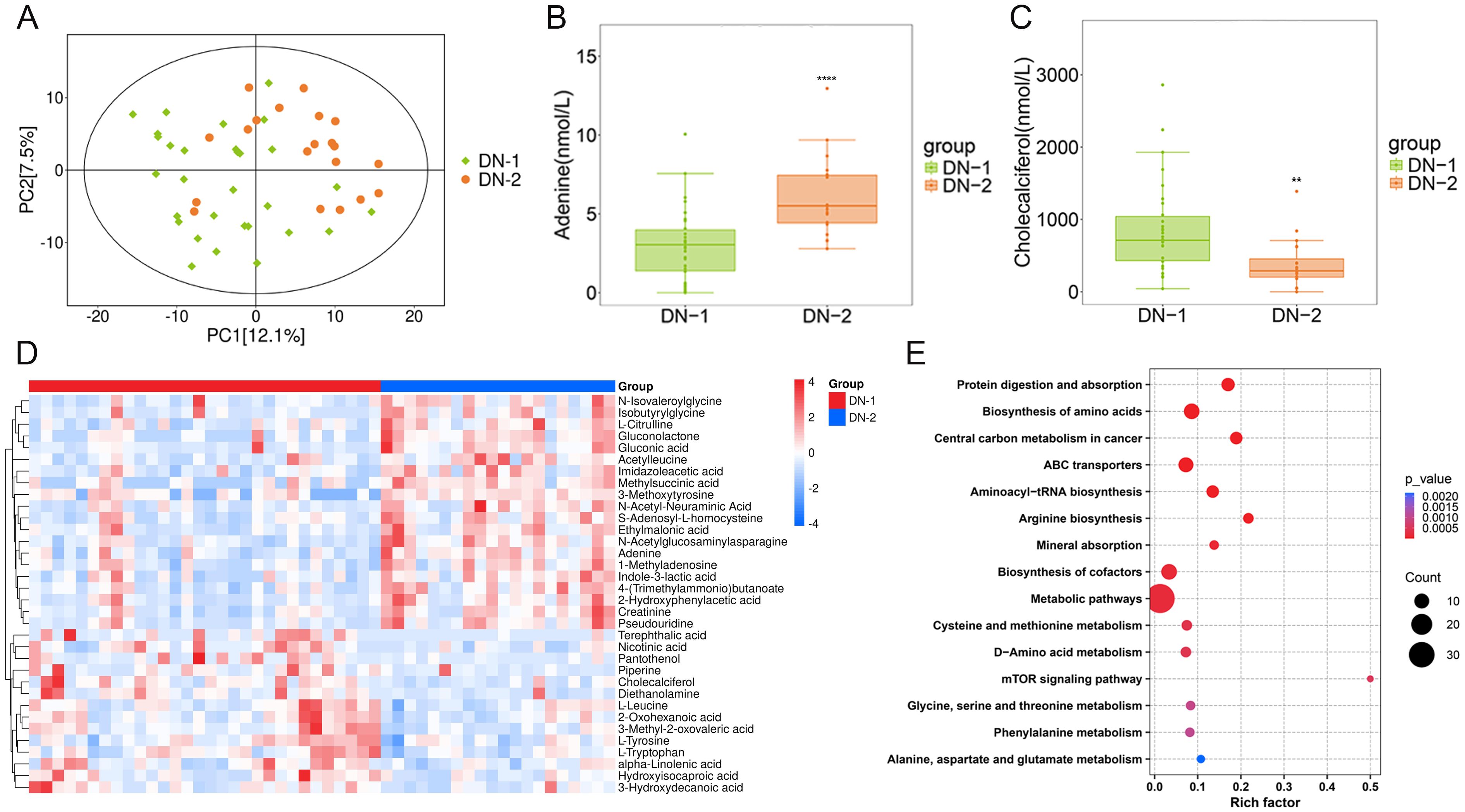 Panel A shows a PCA plot with green diamonds and orange circles representing two groups, DN-1 and DN-2. Panel B is a box plot comparing adenine levels between DN-1 and DN-2, with DN-2 showing higher median levels. Panel C is a box plot showing cholecalciferol levels, with DN-1 having higher median levels. Panel D is a heatmap of metabolite expression in DN-1 and DN-2 groups, with colors representing different expression levels. Panel E is a dot plot for pathway enrichment analysis, showing various metabolic pathways with bubble size indicating count and color representing p-value significance.