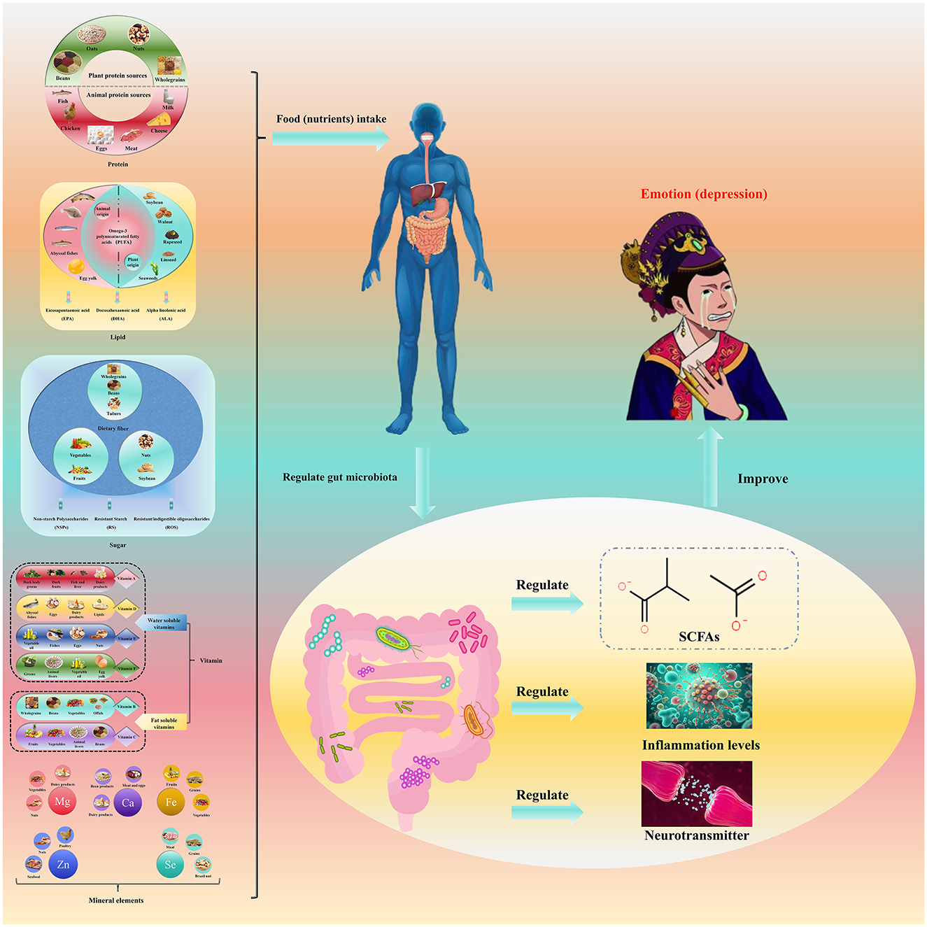 Diagram illustrating how food intake influences gut microbiota regulation and impact on depression. It shows nutrient sources, gut microbiota's effect on SCFAs, inflammation, and neurotransmitter levels, linked to emotional health.