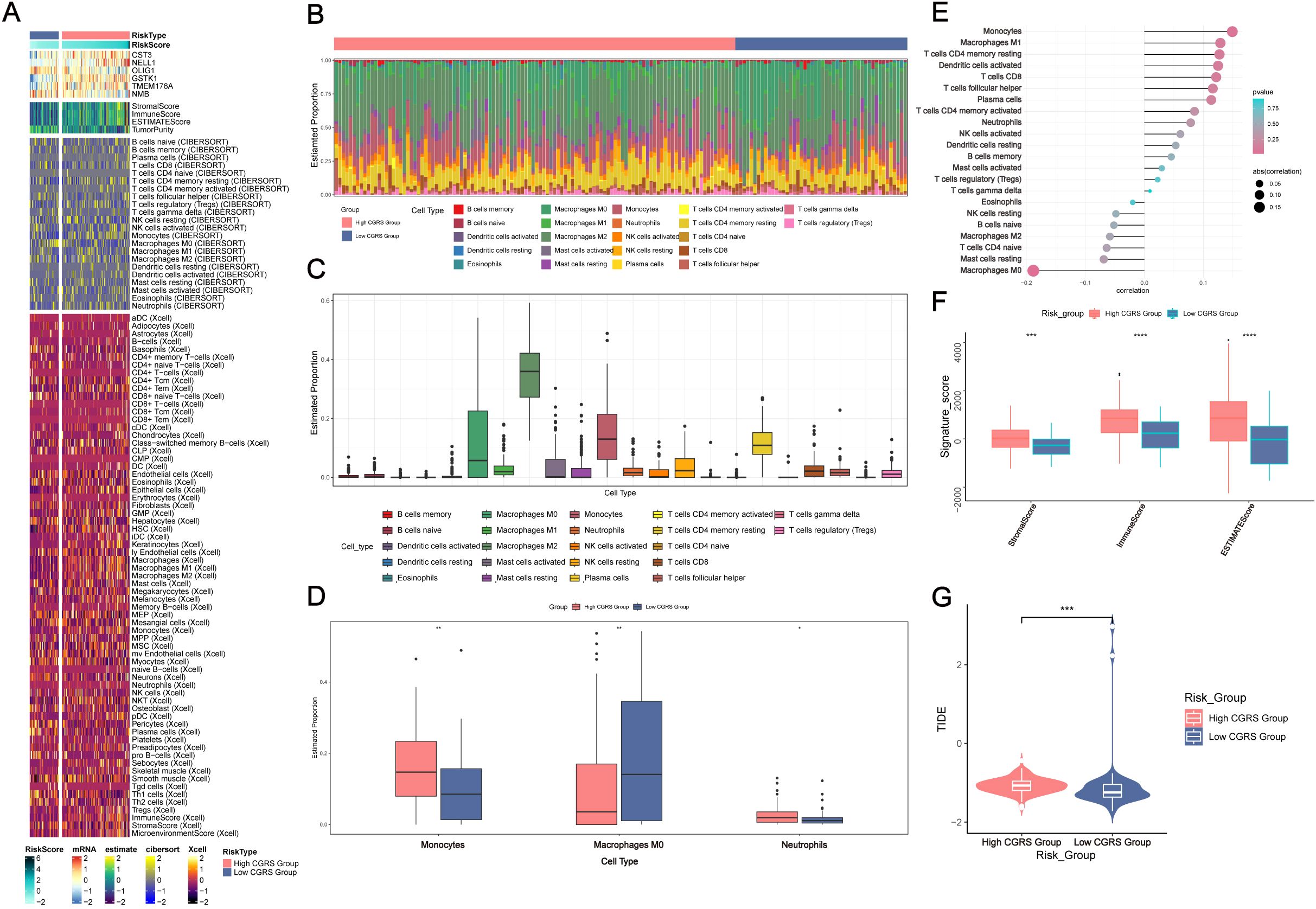 A multi-panel figure shows various analyses related to immune cell types and risk groups. Panel A consists of a heatmap comparing risk scores and immune cell presence. Panel B displays a stacked bar chart illustrating the proportions of various cell types across groups. Panel C features a box plot of estimated cell type proportions. Panel D presents box plots specifically for monocytes, macrophages M0, and neutrophils. Panel E provides a correlation plot of different cell types with significance indicated by color and size. Panel F includes a box plot comparing signature scores between risk groups. Panel G shows a violin plot of TIDE scores, highlighting differences between high and low CGRS groups.