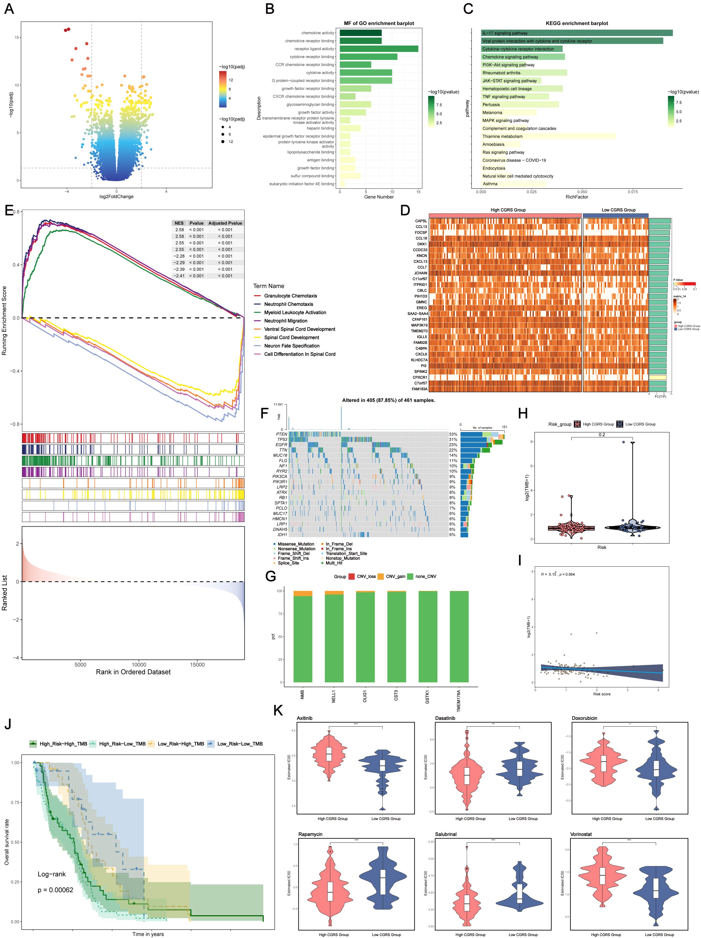 The image is a multi-panel scientific figure encompassing various data visualizations. Panel A is a volcano plot illustrating gene expression changes. Panel B and C are bar plots showing GO enrichment and KEGG pathway analysis, highlighting statistically significant pathways. Panel D is a heatmap comparing gene expression between high and low risk groups. Panel E presents a GSEA plot with ranked gene sets. Panel F shows a mutation landscape across samples. Panel G is a grouped bar plot of mutation types. Panel H is a violin plot of risk scores. Panel I is a scatter plot correlating risk scores with another parameter. Panel J is a Kaplan-Meier survival curve. Panel K contains multiple violin plots comparing drug responses in different groups.