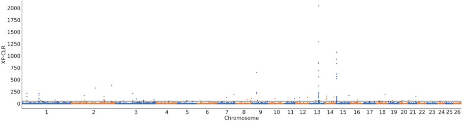 Scatter plot showing XP-CLR values across chromosomes one to twenty-six. Data points are in blue and orange. Peaks appear notably on chromosomes thirteen and fourteen, indicating higher XP-CLR scores.