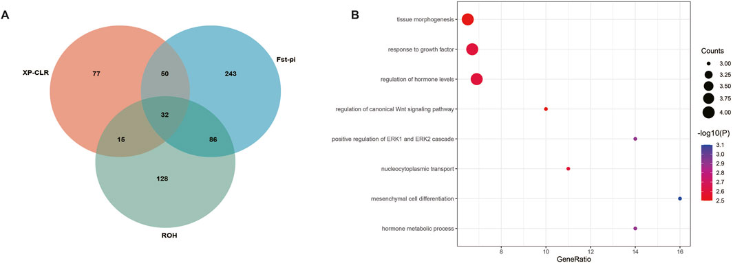 Diagram consisting of two parts: A Venn diagram on the left labeled