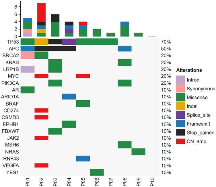 Oncoprint displaying genetic alterations across ten patients (P01 to P10) and various genes, including TP53, APC, and BRCA2. Alterations are color-coded: missense (green), intron (purple), CN_amp (red), and others. TP53 shows multiple alterations in P01 and P02, while P06 and P07 have fewer changes. The percentages indicate the frequency of each alteration type.