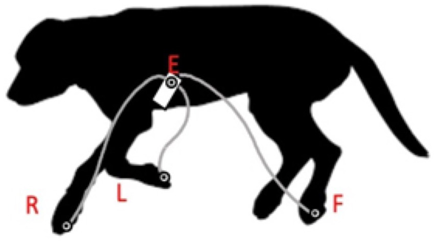 www.frontiersin.org