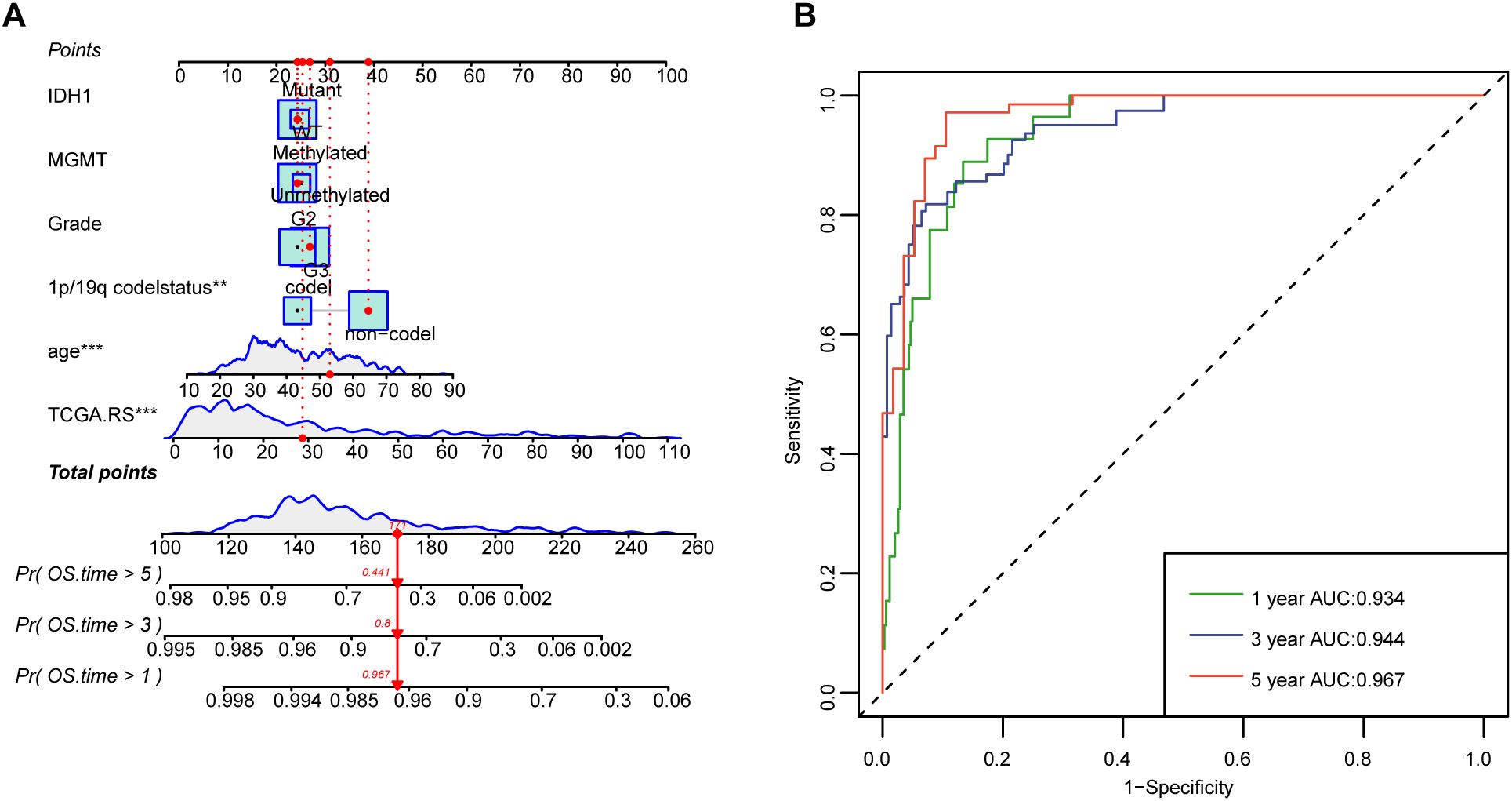Panel A shows a nomogram with scores for factors like IDH1 mutation, MGMT methylation, grade, 1p/19q status, age, and TCGA.RS, predicting overall survival. Probabilities for survival over one, three, and five years are displayed. Panel B presents an ROC curve with AUC values of 0.934, 0.944, and 0.967 for one, three, and five-year predictions, respectively.