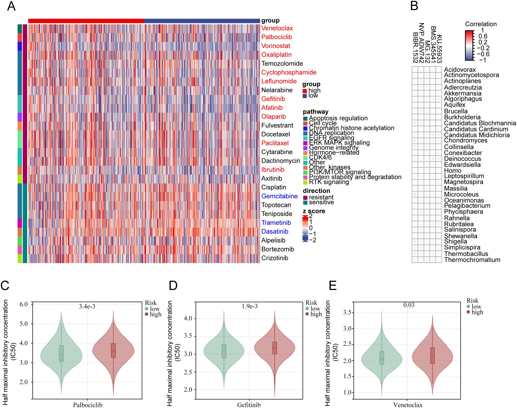 Panel A shows a heatmap illustrating the correlation of different treatments and pathways in relation to gene expression, with varying colors indicating z-scores. Panel B presents a correlation matrix with heat map color coding. Panels C, D, and E display violin plots of the half-maximal inhibitory concentration (IC50) for Palbociclib, Gefitinib, and Venetoclax, respectively, categorized by low and high-risk groups with corresponding p-values.