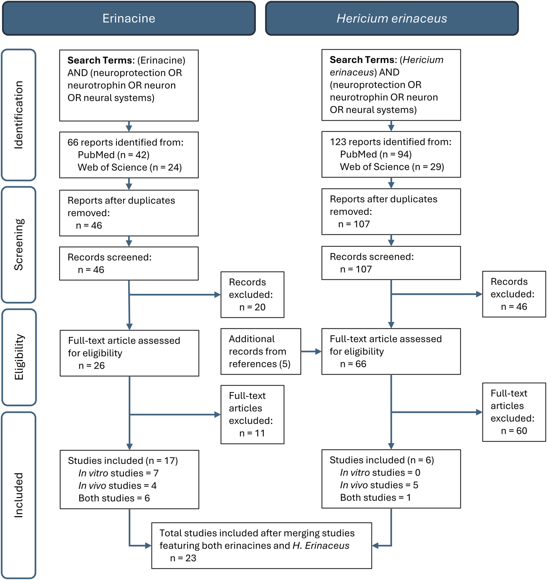 Flowchart comparing systematic review methodology for erinacine and Hericium erinaceus. For Erinacine, 66 reports identified, 46 screened, 26 assessed for eligibility, 17 included. For Hericium erinaceus, 123 reports identified, 107 screened, 66 assessed, 6 included. Total studies after merging both: 23.