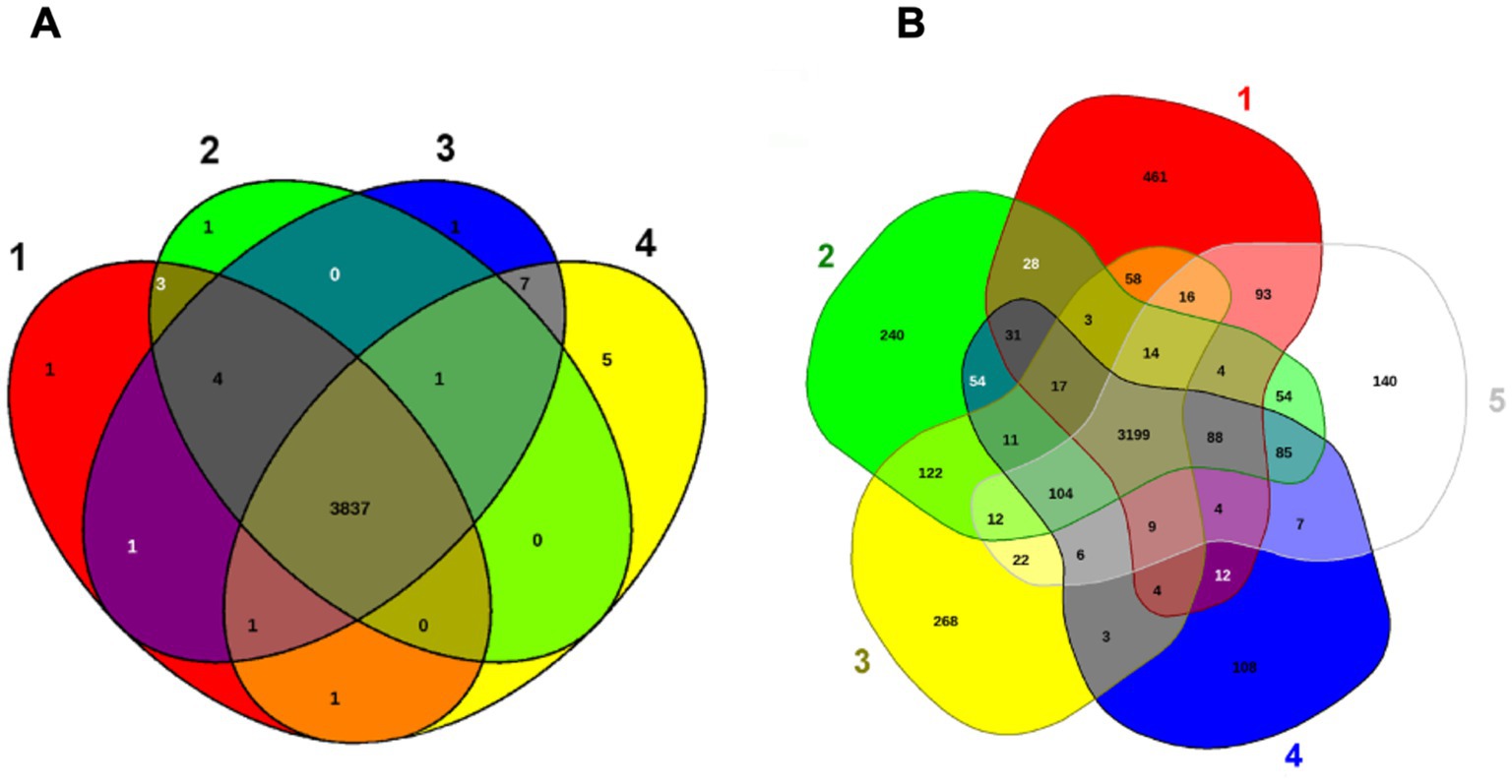Diagram showing two Venn diagrams labeled A and B. Diagram A consists of four overlapping sets, each with different colors, displaying intersection numbers like zero, three, and seven. Diagram B includes five overlapping sets with multiple colors, also showing various intersection numbers, such as 3199 and 3837.