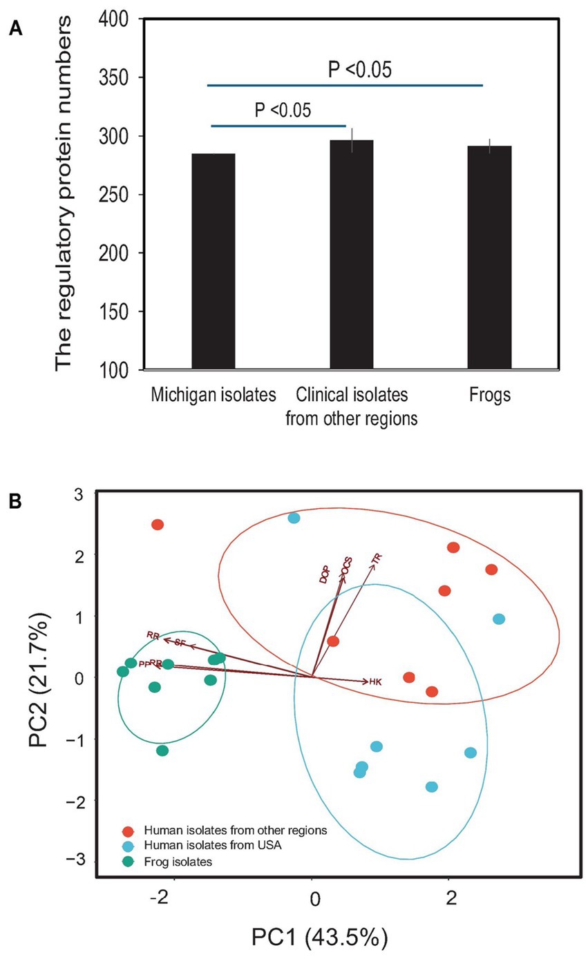 Graph A is a bar chart showing the number of regulatory proteins in Michigan isolates, clinical isolates, and frogs, with significant differences marked by p-values less than 0.05. Graph B is a principal component analysis (PCA) scatter plot comparing human isolates from other regions, human isolates from the USA, and frog isolates, with PC1 accounting for 43.5% of variance and PC2 for 21.7%. Arrows indicate variable influences.