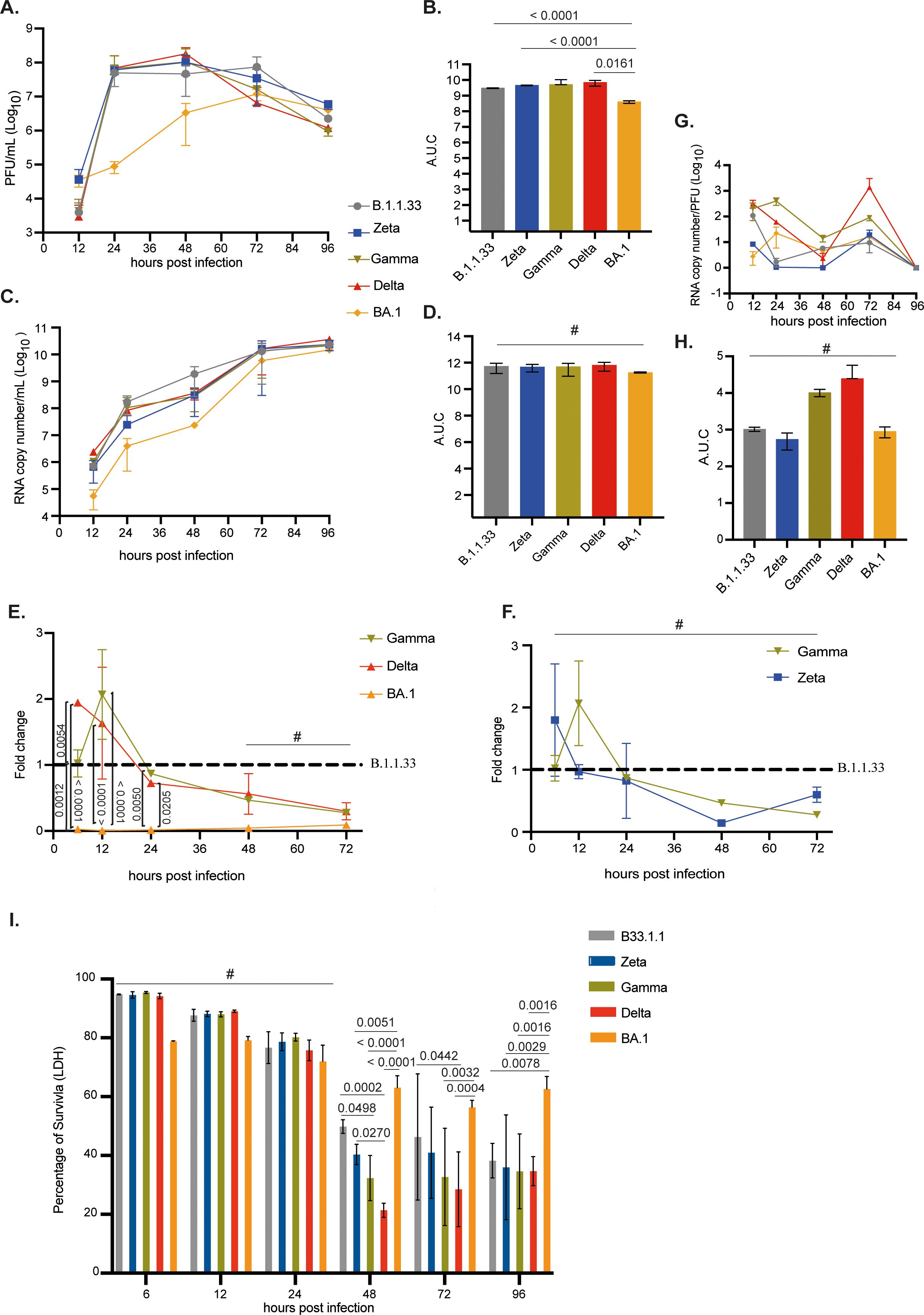Graphs and bar charts compare viral infection parameters across different variants: B.1.1.33, Zeta, Gamma, Delta, and BA.1 over time. Key measurements include PFU/mL, RNA copies/mL, fold change, and percentage survival. Statistical significance is indicated at various points, highlighting differences in viral behavior and host response.
