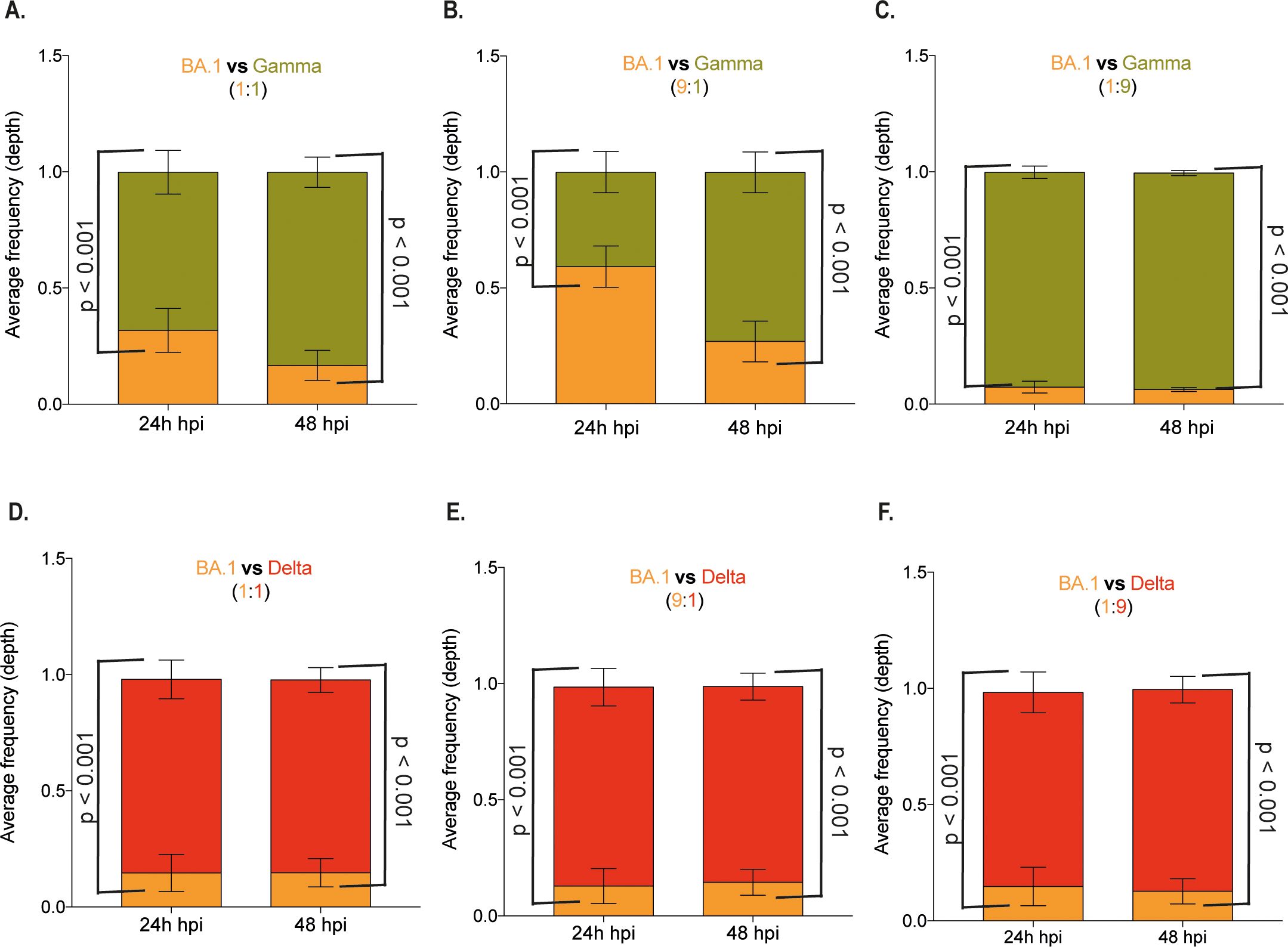 Bar charts labeled A to F compare average frequency (depth) of BA1 versus Gamma and Delta variants at 24 and 48 hours post-infection. Each panel shows two conditions at ratios of 1:1, 9:1, and 1:9. P-values indicate statistical significance, with p < 0.001. Gamma is shown in green and orange, and Delta in red and orange.