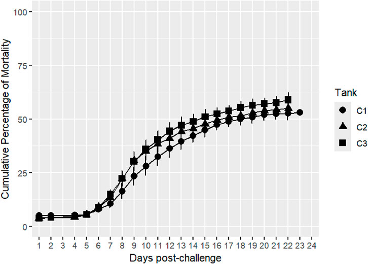 Line graph showing cumulative percentage of mortality over 24 days post-challenge for three tanks: C1 (circles), C2 (triangles), and C3 (squares). Mortality increases rapidly after day six, stabilizing around day 19 between 50% and 60% across all tanks.