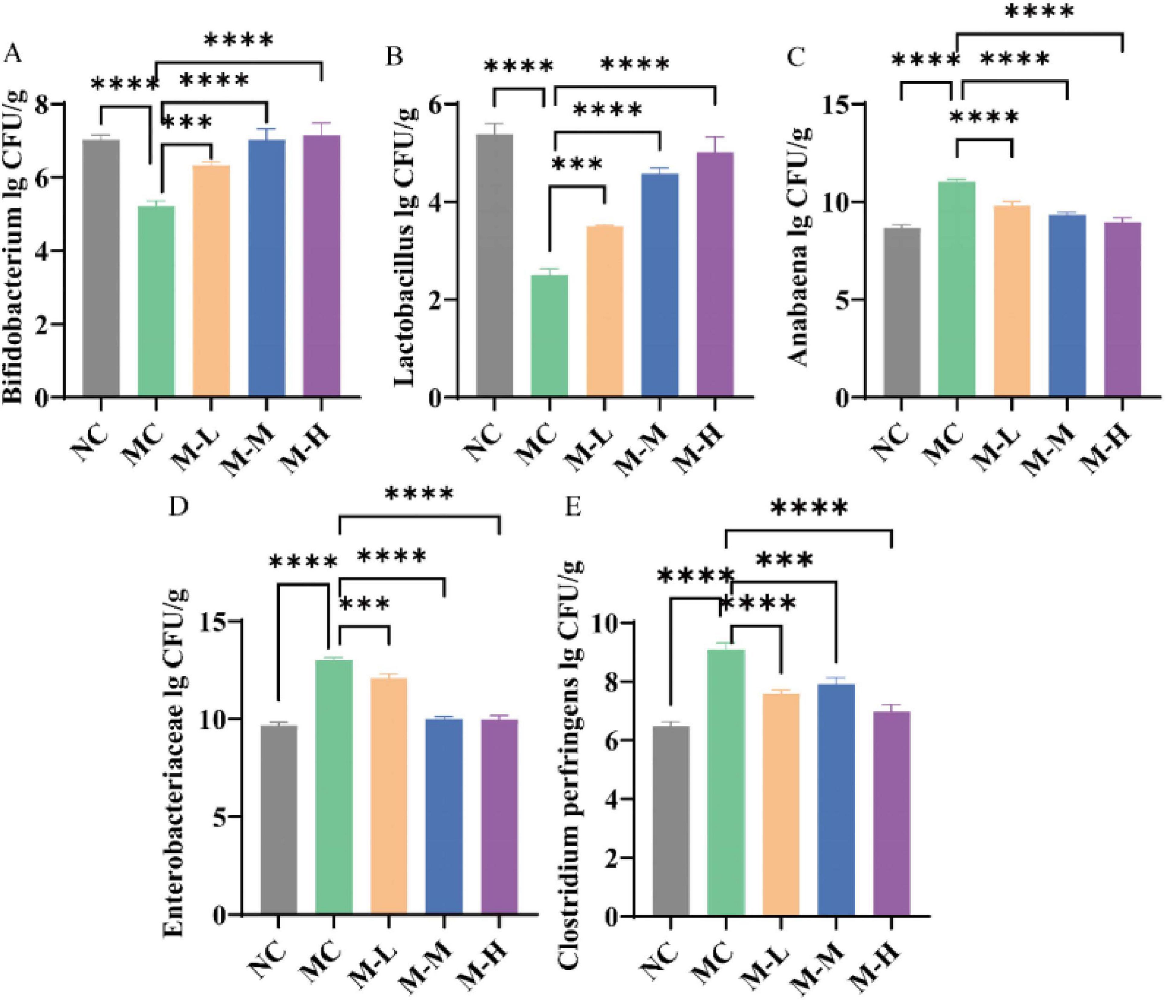 Bar charts labeled A to E show bacterial counts (lg CFU/g) for Bifidobacterium, Lactobacillus, Anabaena, Enterobacteriaceae, and Clostridium perfringens across five groups (NC, MC, M-L, M-M, M-H). Significant differences are marked with asterisks.