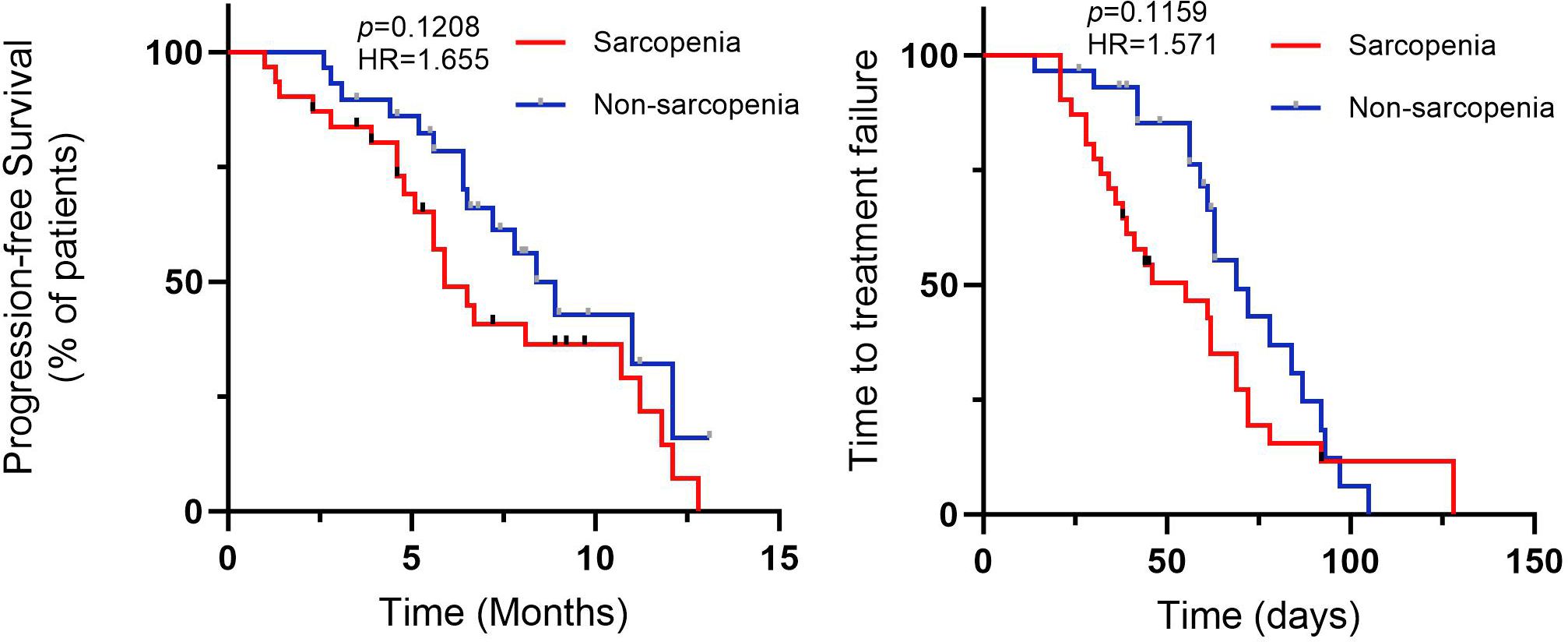 Two Kaplan-Meier curves compare sarcopenia and non-sarcopenia groups. The left graph shows progression-free survival over months with p-value 0.1208 and hazard ratio 1.655. The right graph displays time to treatment failure in days, with p-value 0.1159 and hazard ratio 1.571. Sarcopenia is represented in red, non-sarcopenia in blue.