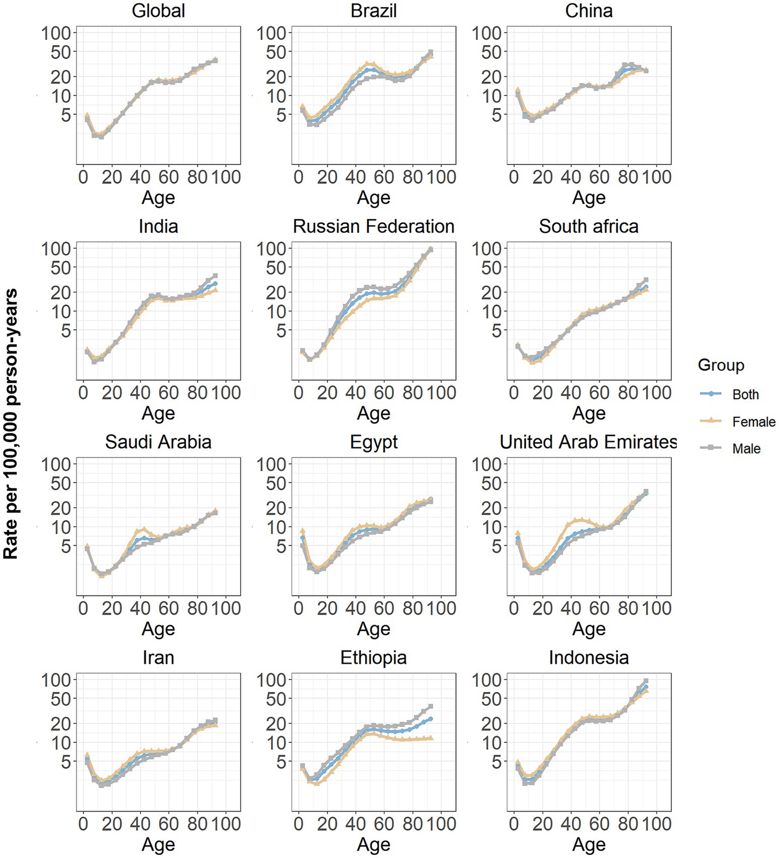 Line charts showing the rate per 100,000 person-years by age group in various countries: Global, Brazil, China, India, Russian Federation, South Africa, Saudi Arabia, Egypt, United Arab Emirates, Iran, Ethiopia, and Indonesia. Each chart compares rates for males, females, and both groups. The x-axis represents age from zero to one hundred, and the y-axis represents the rate from zero to one hundred. Data generally shows an upward trend with age.