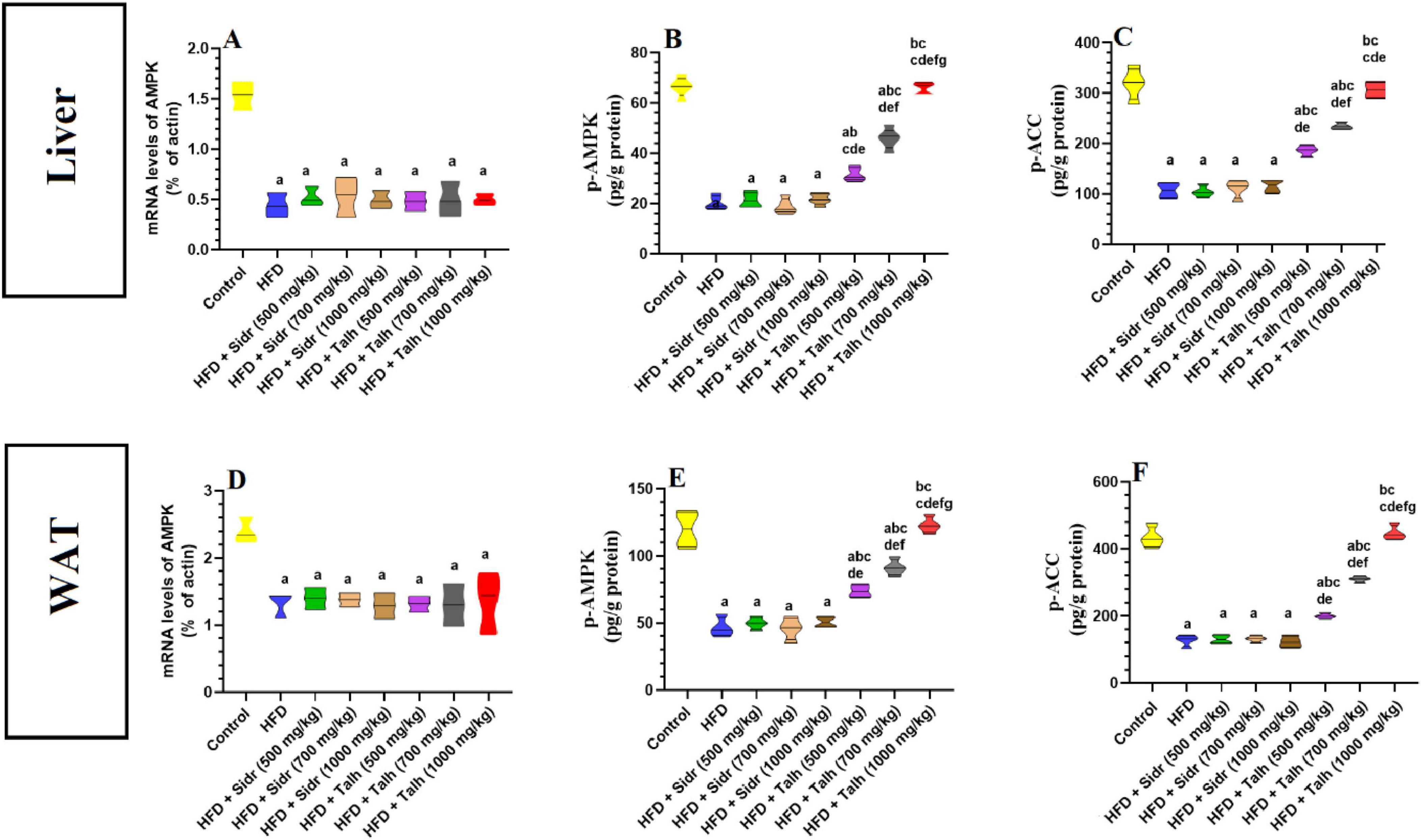 Graphs A to C display liver data, and graphs D to F display WAT (white adipose tissue) data. They show the effects of different treatments on mRNA levels of AMPK, p-AMPK, and p-ACC across various groups including control, HFD, and HFD combined with varying doses of Sirt and Tain. Each graph uses box plots with statistical annotations, suggesting differences among groups.