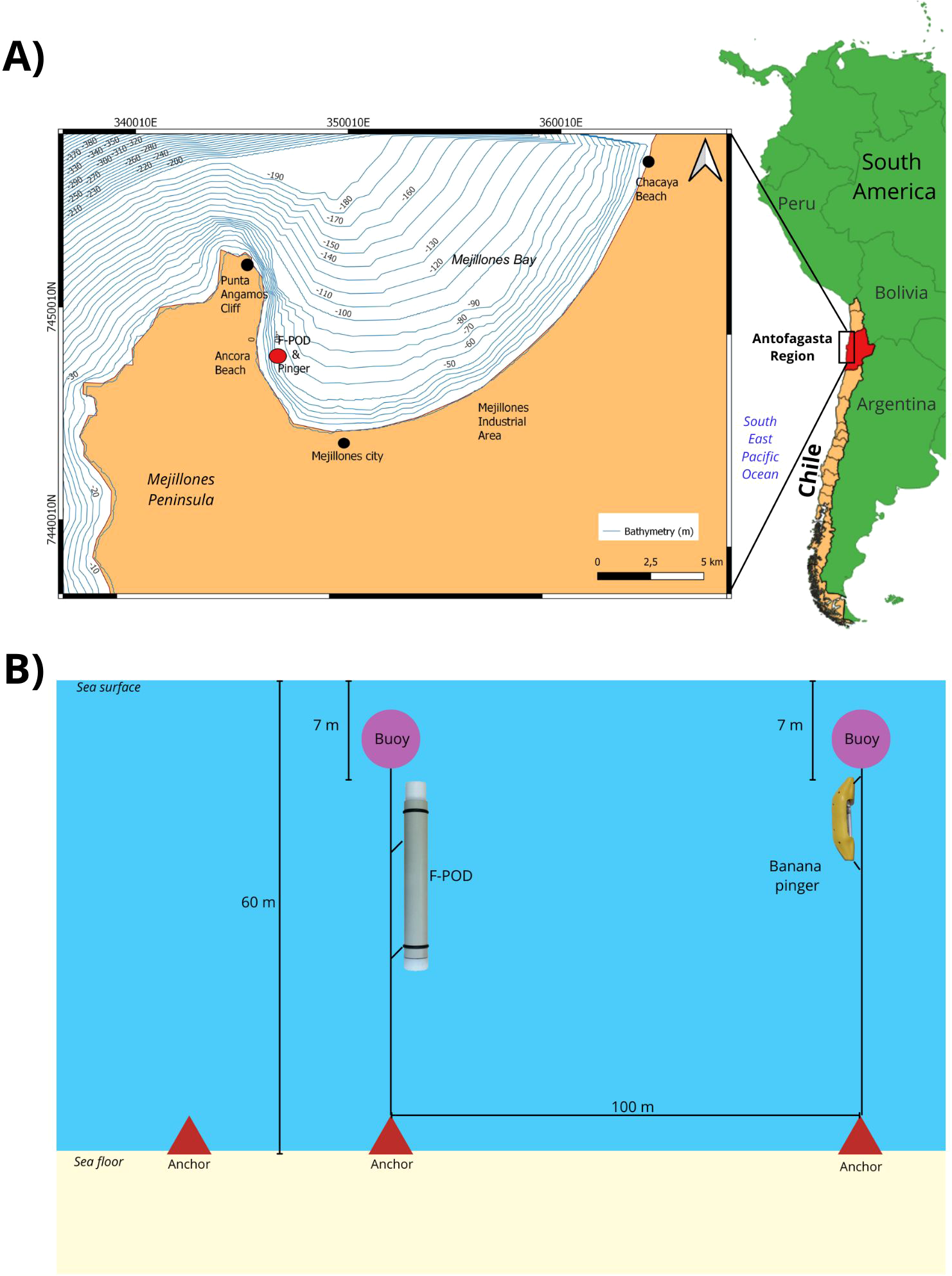 Map and diagram illustrating a study area in Mejillones Bay, Chile. Part A depicts the bay's bathymetry with marked locations including Punta Angamos Cliff and Mejillones city, positioned on a map of South America. Part B shows a side view of equipment setup: an F-POD and banana pinger anchored 60 meters below the sea surface, with buoys positioned 7 meters above each anchor, spanning a 100-meter distance between them.