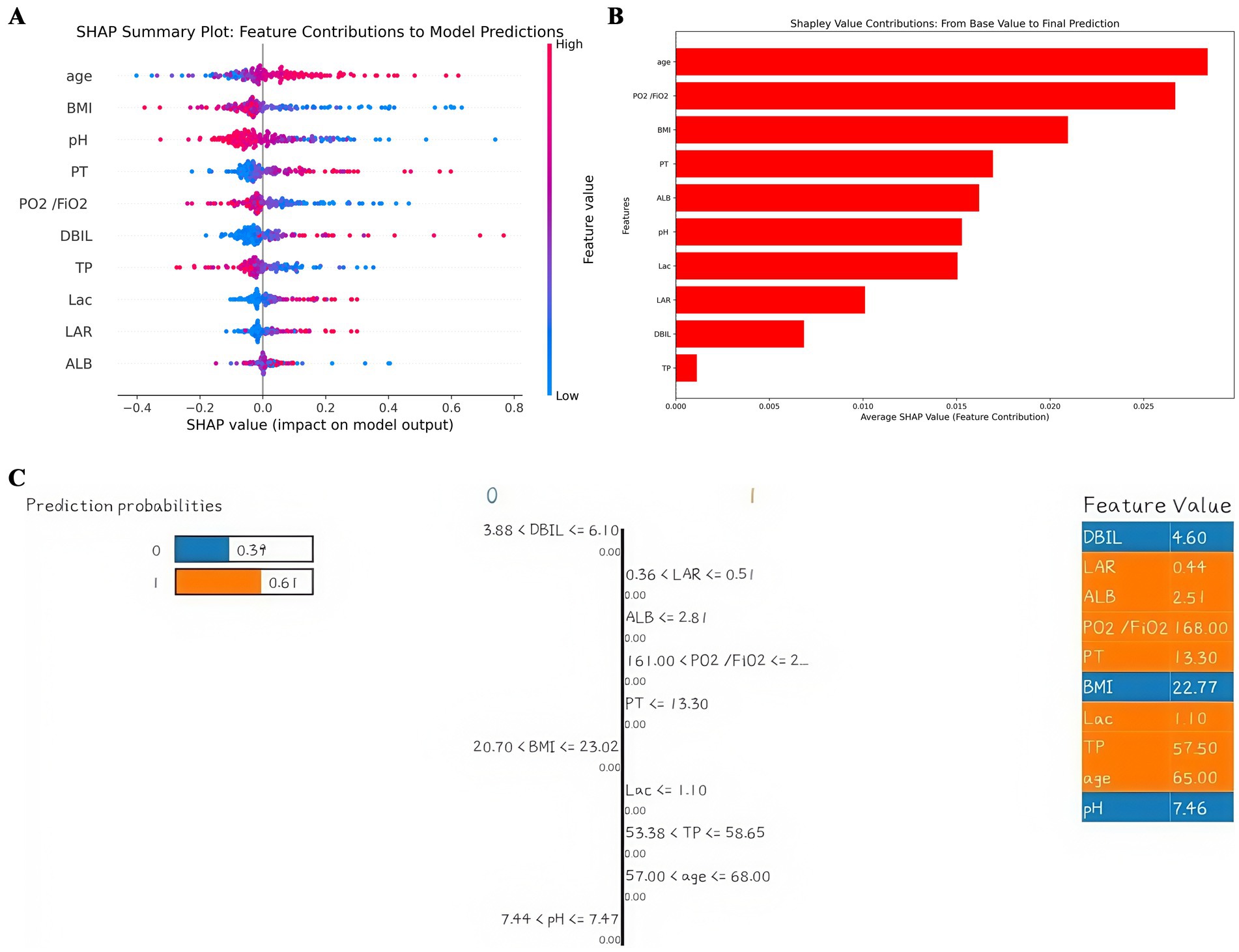 Panel A shows a SHAP summary plot with features like age, BMI, and pH affecting model predictions. Panel B displays a bar chart of Shapley value contributions, with age having the highest contribution. Panel C illustrates prediction probabilities with highlighted feature values including DBIL and BMI.