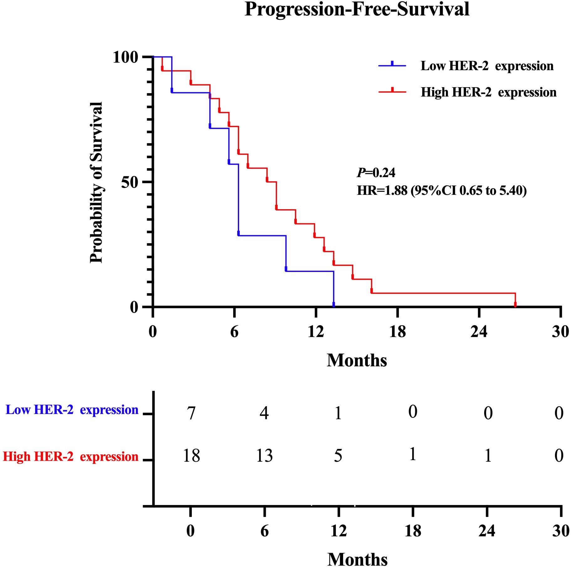 Kaplan-Meier survival curve illustrating progression-free survival over 30 months, comparing low HER-2 expression (blue line) with high HER-2 expression (red line). Probability of survival decreases over time for both groups. The p-value is 0.24, and hazard ratio is 1.88 with a confidence interval of 0.65 to 5.40. The lower table shows patient numbers at risk at various time points.