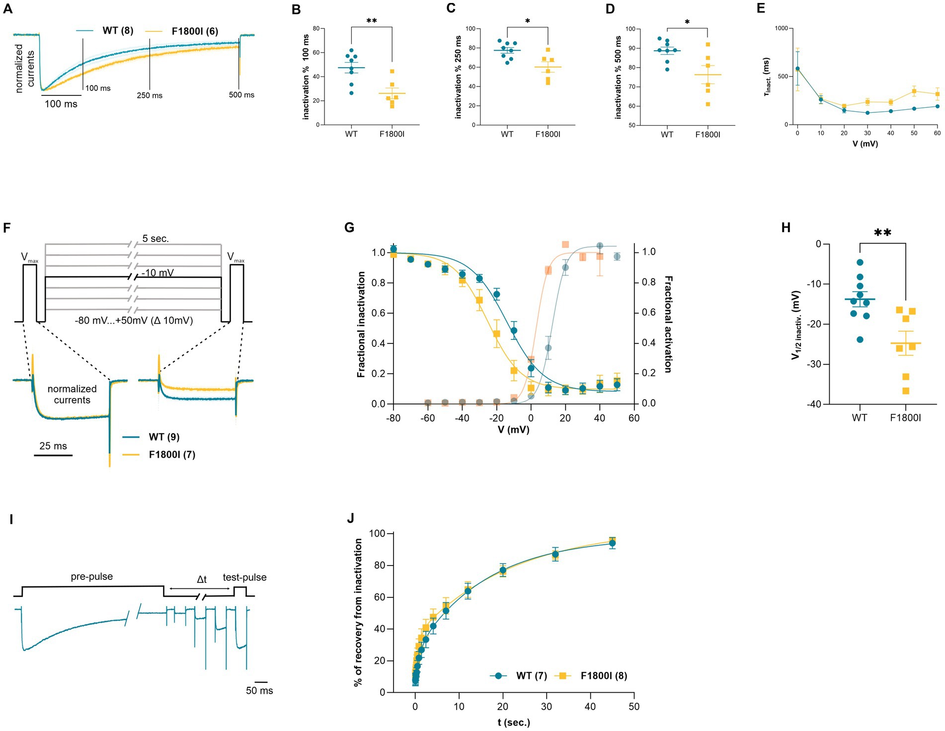 Composite image depicting various graphs related to ion channel inactivation and activation for WT and F1800I variants.A) Line graphs showing normalized currents over time at different voltages.B, C, D) Scatter plots comparing inactivation percentage at 100 ms, 250 ms, and 500 ms, showing statistical significance at 100 ms and 500 ms.E) Line graph of time constant (Tau) versus voltage.F) Diagram of voltage step protocol with line graphs of normalized currents.G) Line graphs illustrating fractional inactivation and activation against voltage.H) Scatter plot of V1/2 inactivation values, indicating a significant difference.I) Diagram of pre-pulse and test-pulse protocol with corresponding current traces.J) Line graph displaying percentage recovery from inactivation over time.