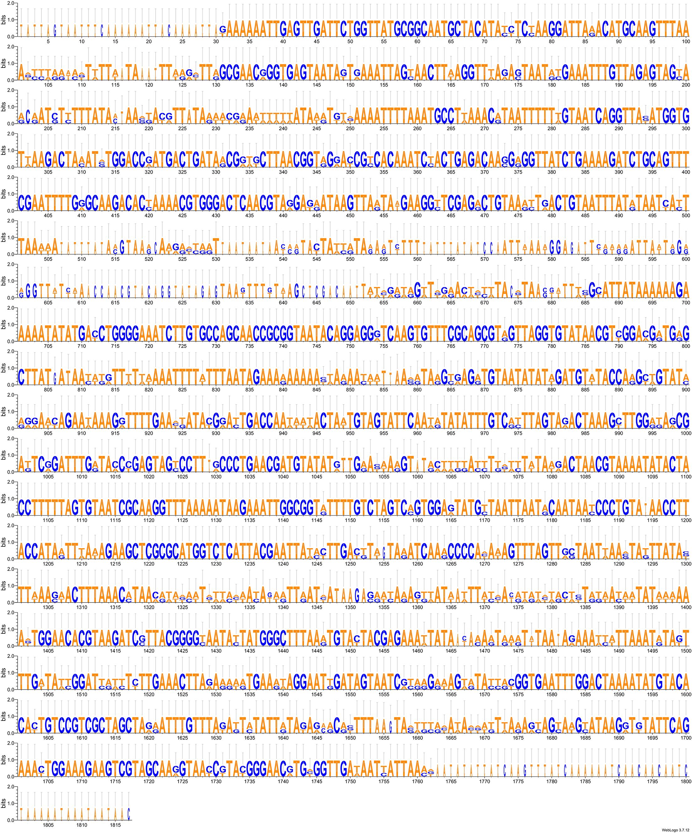 Sequence logo depicting DNA sequences with letters A, T, C, and G in various sizes and colors (blue and orange), representing nucleotide frequencies across positions. The height of each letter indicates its relative frequency at that position.