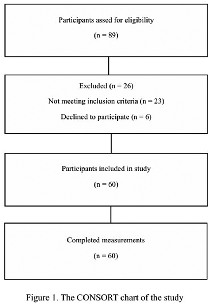 CONSORT flowchart illustrating the participant flow in the study. It shows that 89 participants were assessed for eligibility, with 26 excluded due to not meeting inclusion criteria or declining to participate. A total of 60 participants were included in the study, and all 60 completed the measurements.