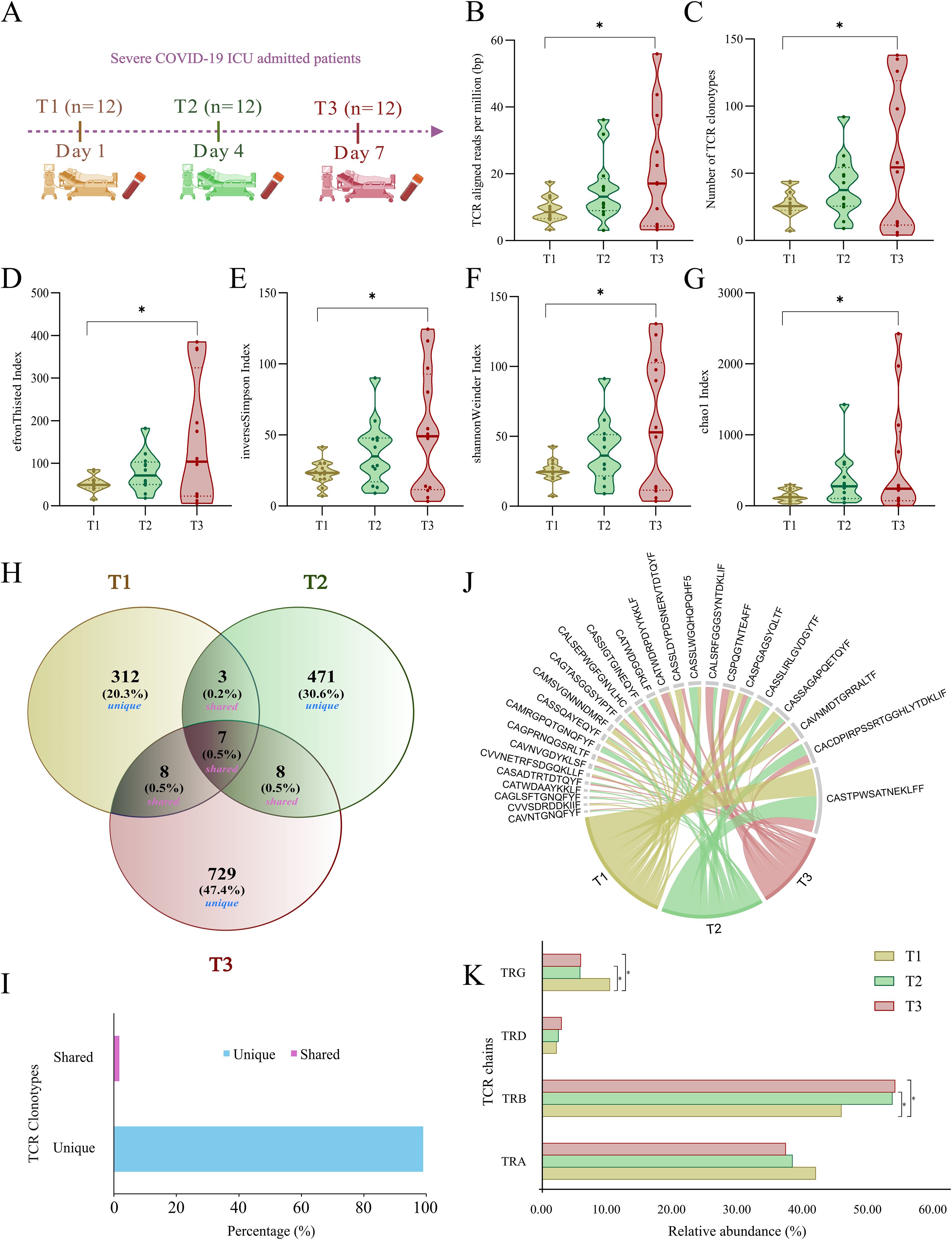 Infographic showing data from severe COVID-19 ICU patients on Days 1, 4, and 7 (T1, T2, T3). Panels B-G display violin plots for TCR reads, clonotypes, and diversity indices, showing changes over time with significant differences marked. Panel H is a Venn diagram of TCR clonotypes distribution. Panel I shows a bar graph of unique and shared clonotypes. Panel J is a chord diagram of clonotype connections between time points. Panel K displays relative abundances of TCR chains (TRG, TRD, TRB, TRA) as bar graphs.