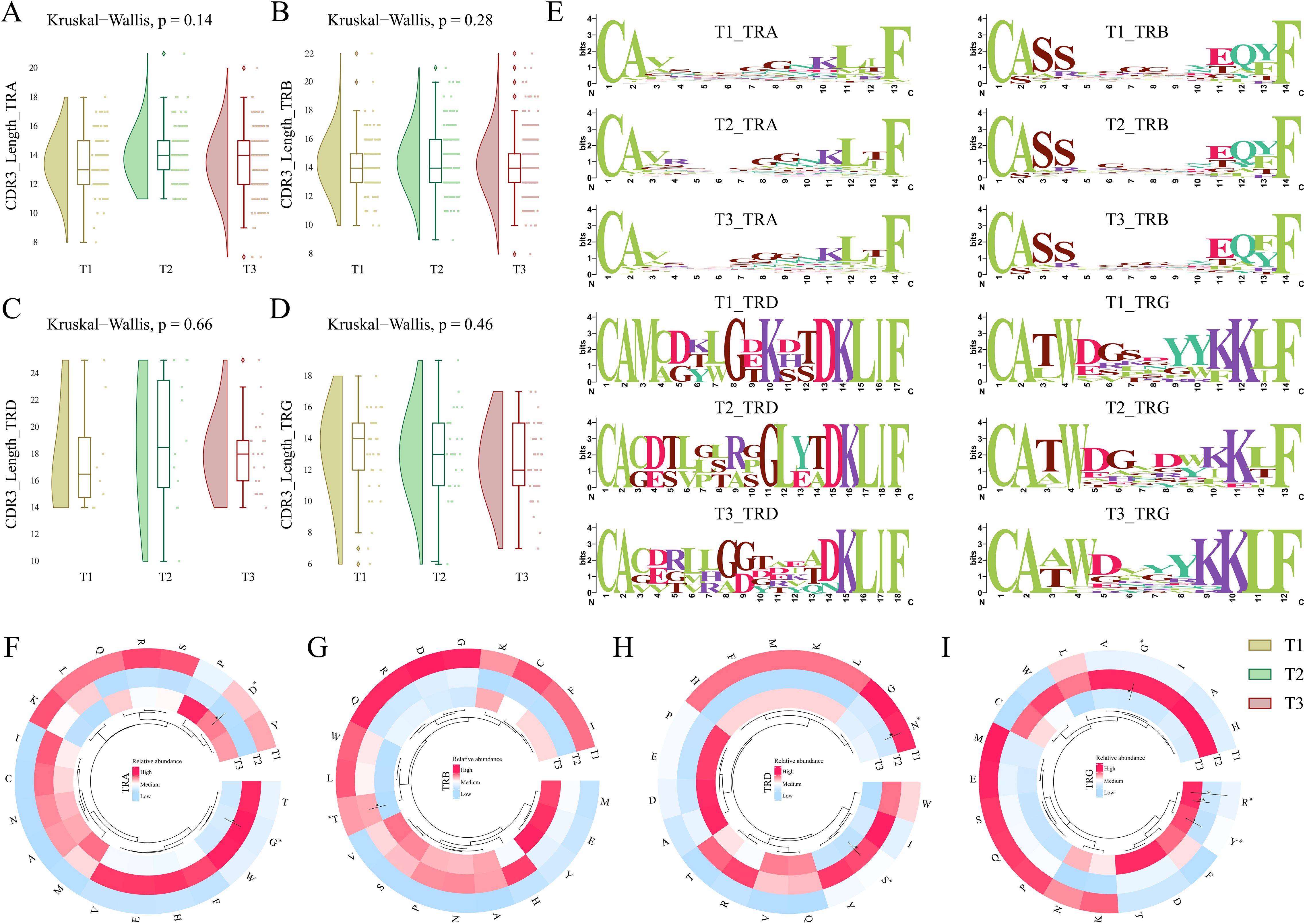 Box and violin plots (A-D) show CDR3 length distributions for TRA, TRB, TRD, and TRG across three groups (T1, T2, T3) with Kruskal-Wallis p-values labeled. Sequence logos (E) depict representative TCR motifs for each group and type. Radial charts (F-I) display relative amino acid abundances for TRA, TRB, TRD, and TRG.