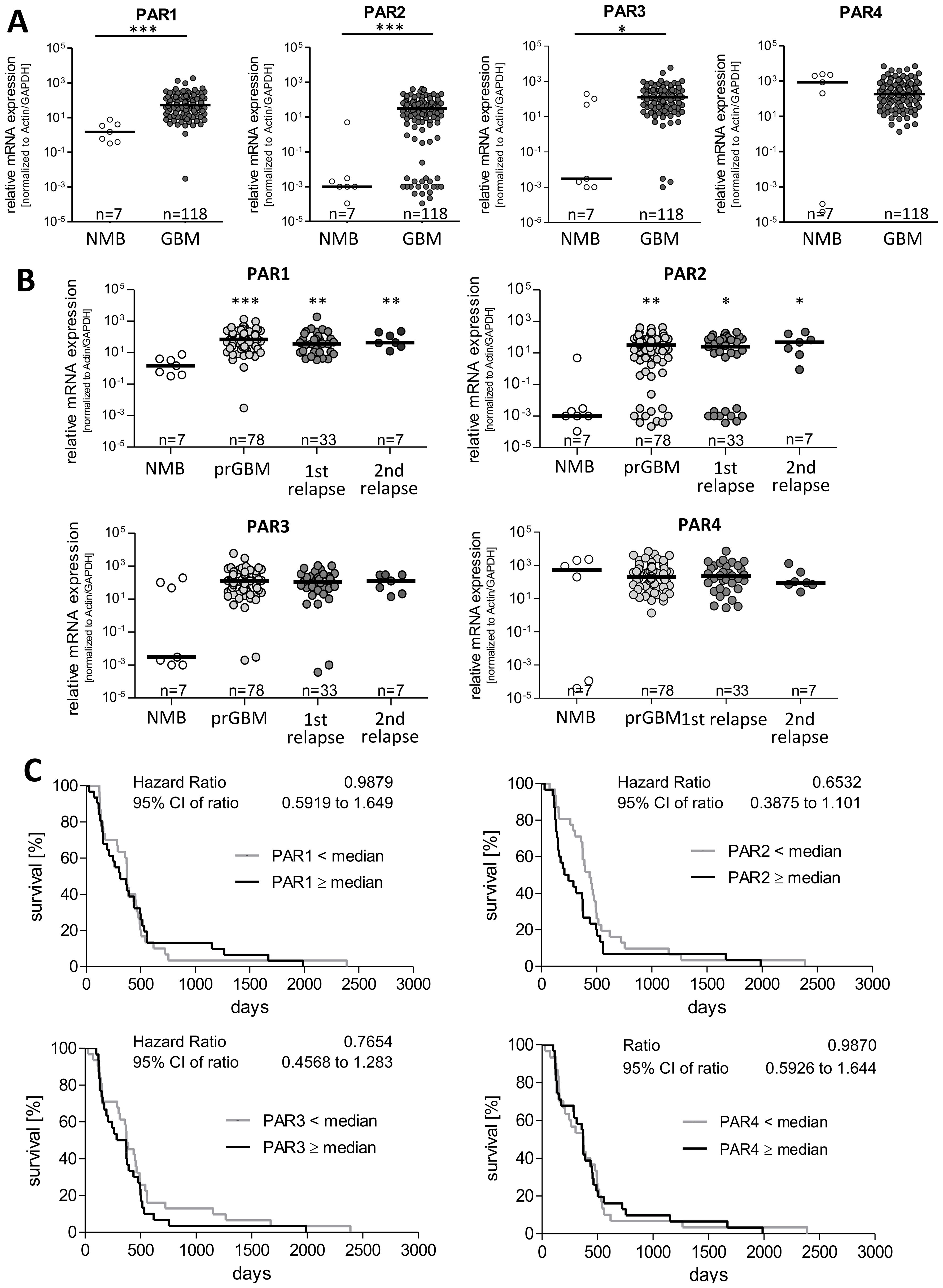 Graphical data showing mRNA expression levels and survival analysis in glioblastoma. Part A features scatter plots comparing PAR1, PAR2, PAR3, and PAR4 between non-malignant brain (NMB) and glioblastoma (GBM). Part B includes scatter plots of the same parameters across different stages: prGBM, first relapse, and second relapse. Part C contains Kaplan-Meier survival curves for each PAR group, comparing survival rates above and below median expression levels, detailing respective hazard ratios and confidence intervals.