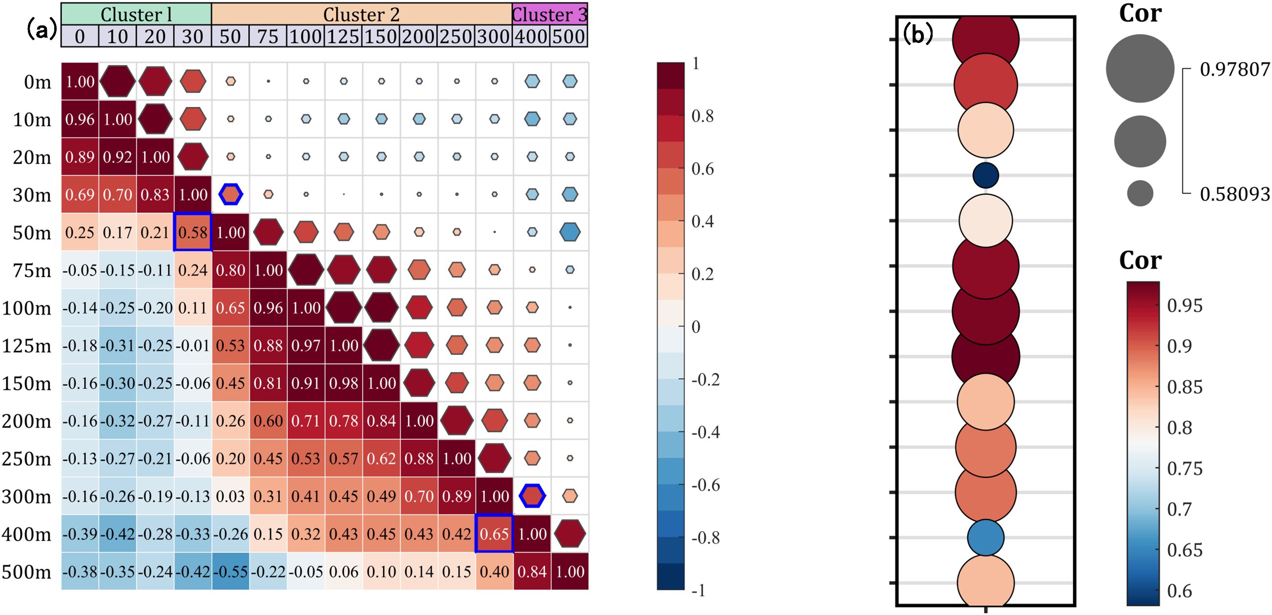 Correlations between depth measurements and cluster distances are depicted. Panel (a) is a matrix indicating correlations with hexagon sizes and colors aligned with a color scale from -1 to 1. Depth ranges from 0m to 500m, and clusters are categorized into Cluster 1, Cluster 2, and Cluster 3. Panel (b) displays a color bar for correlations and circles to illustrate the correlation strength based on size.