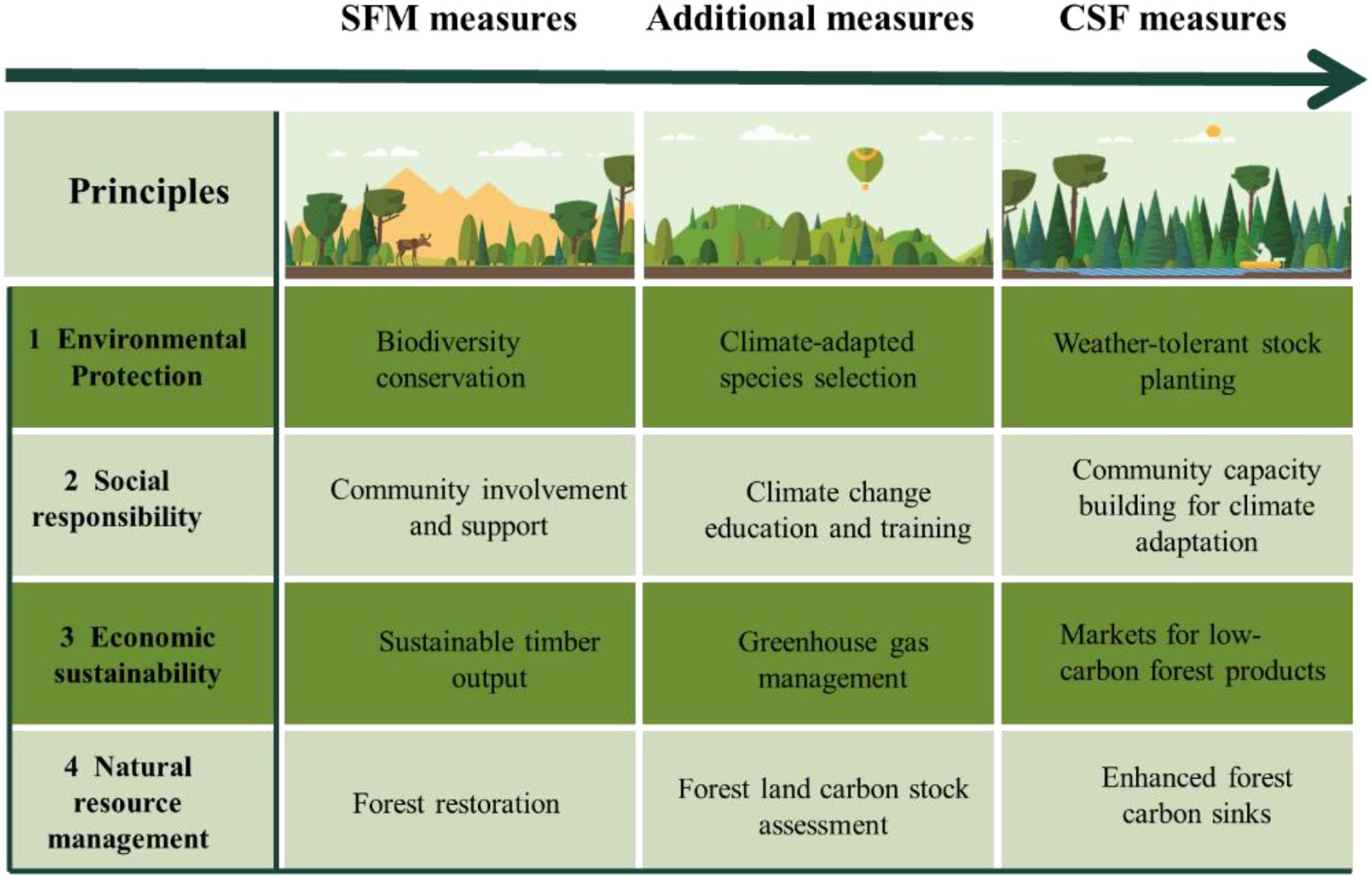 Chart comparing SFM, Additional, and CSF measures across four principles. Environmental Protection includes biodiversity conservation, climate-adapted species selection, and weather-tolerant stock planting. Social Responsibility involves community involvement, climate change education, and community capacity building. Economic Sustainability focuses on sustainable timber output, greenhouse gas management, and low-carbon product markets. Natural Resource Management includes forest restoration, carbon stock assessment, and enhanced carbon sinks. Each principle features nature-themed illustrations.