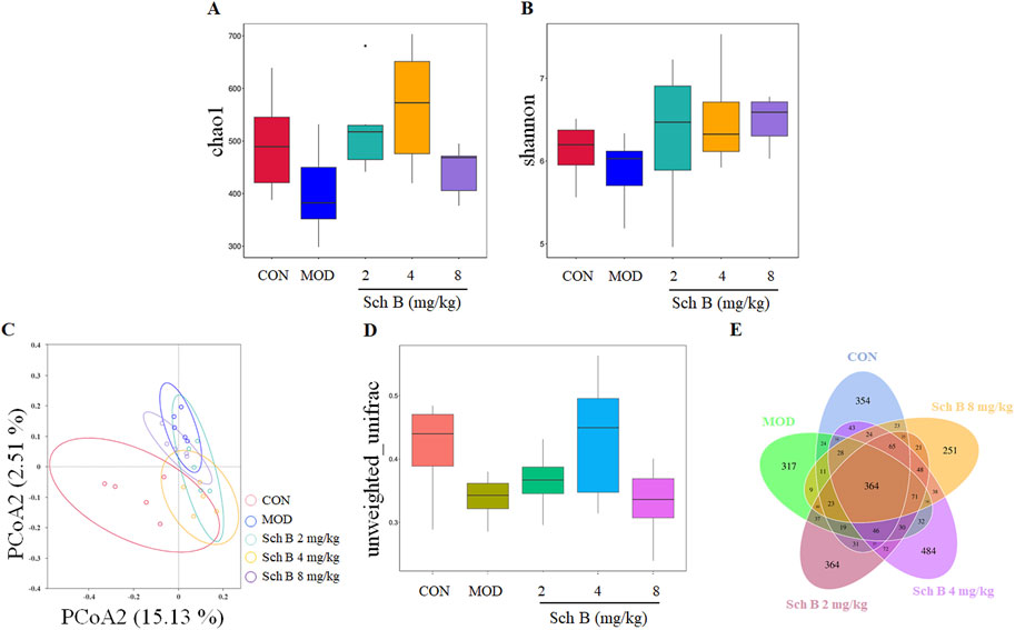 Five-part scientific figure. A: Box plot of chao1 index across different Sch B doses. B: Box plot of Shannon index for the same groups. C: PCoA plot showing clustering based on Sch B treatment. D: Box plot of unweighted unifrac distances. E: Venn diagram depicting shared and unique elements among groups: CON, MOD, and Sch B doses 2, 4, 8 mg/kg.