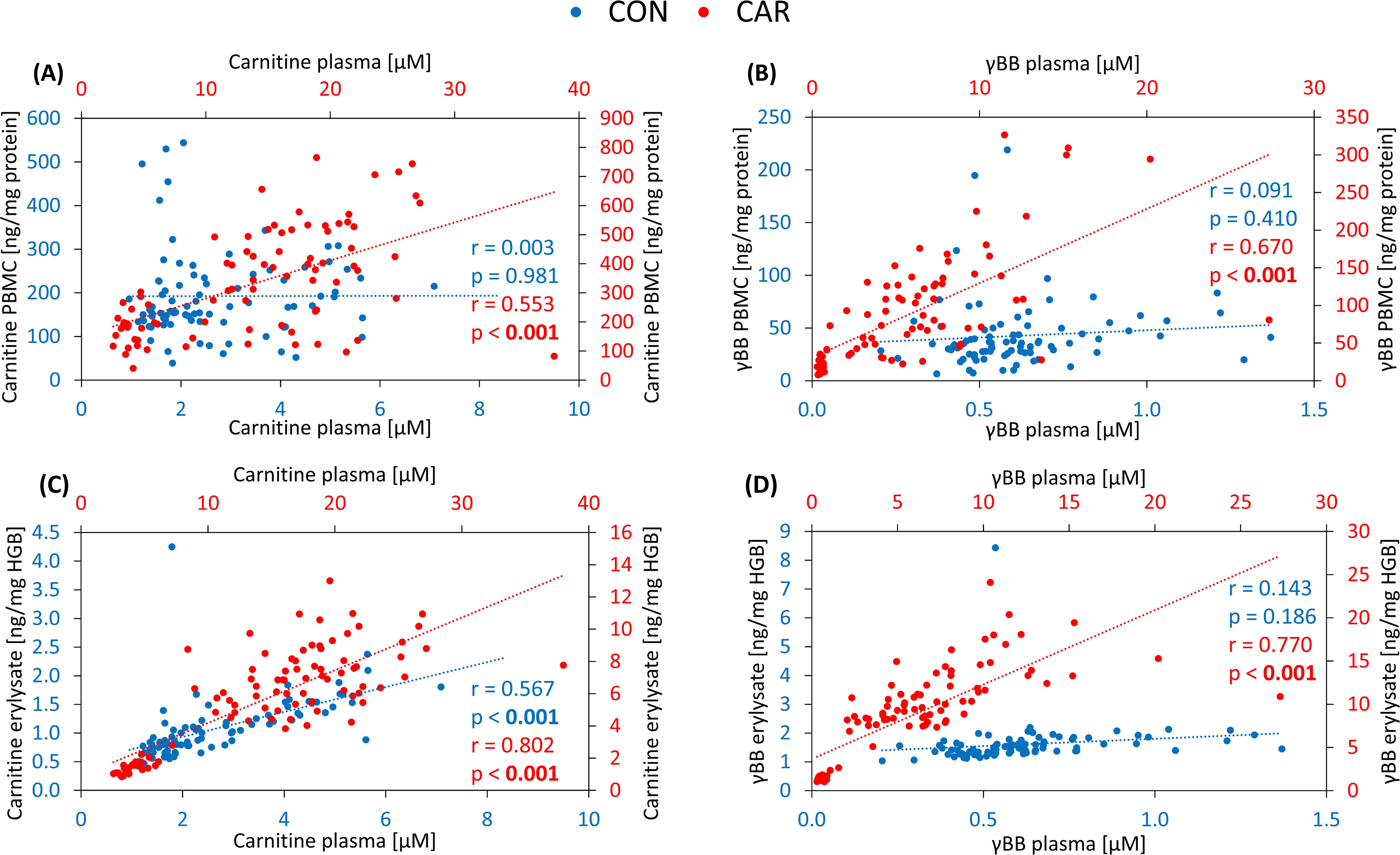 Four scatter plots labeled A to D, showing correlations between different plasma and cellular measurements. Blue and red dots represent CON and CAR groups, respectively. Each plot includes correlation coefficients. Plot A shows carnitine PBMC versus carnitine plasma, B shows gamma BB PBMC versus plasma, C shows carnitine erythrolysate versus carnitine plasma, and D shows gamma BB erythrolysate versus gamma BB plasma. The red trend lines indicate statistically significant correlations (p < 0.001), observed in all plots except C and D for the blue group (CON), indicating weaker or nonsignificant correlations.